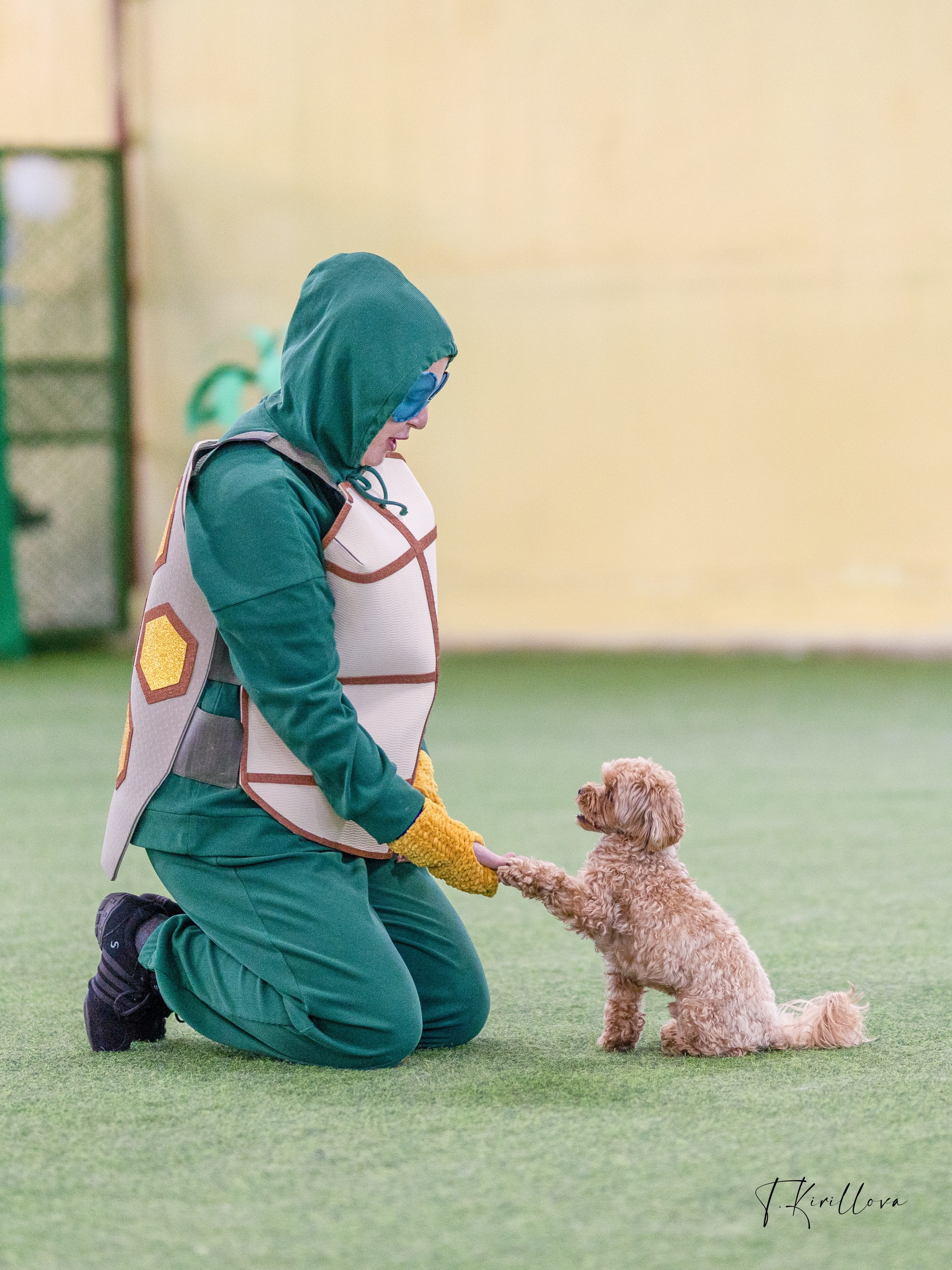 Соревнования танцы. Фотограф-анималист в Москве Кириллова Татьяна