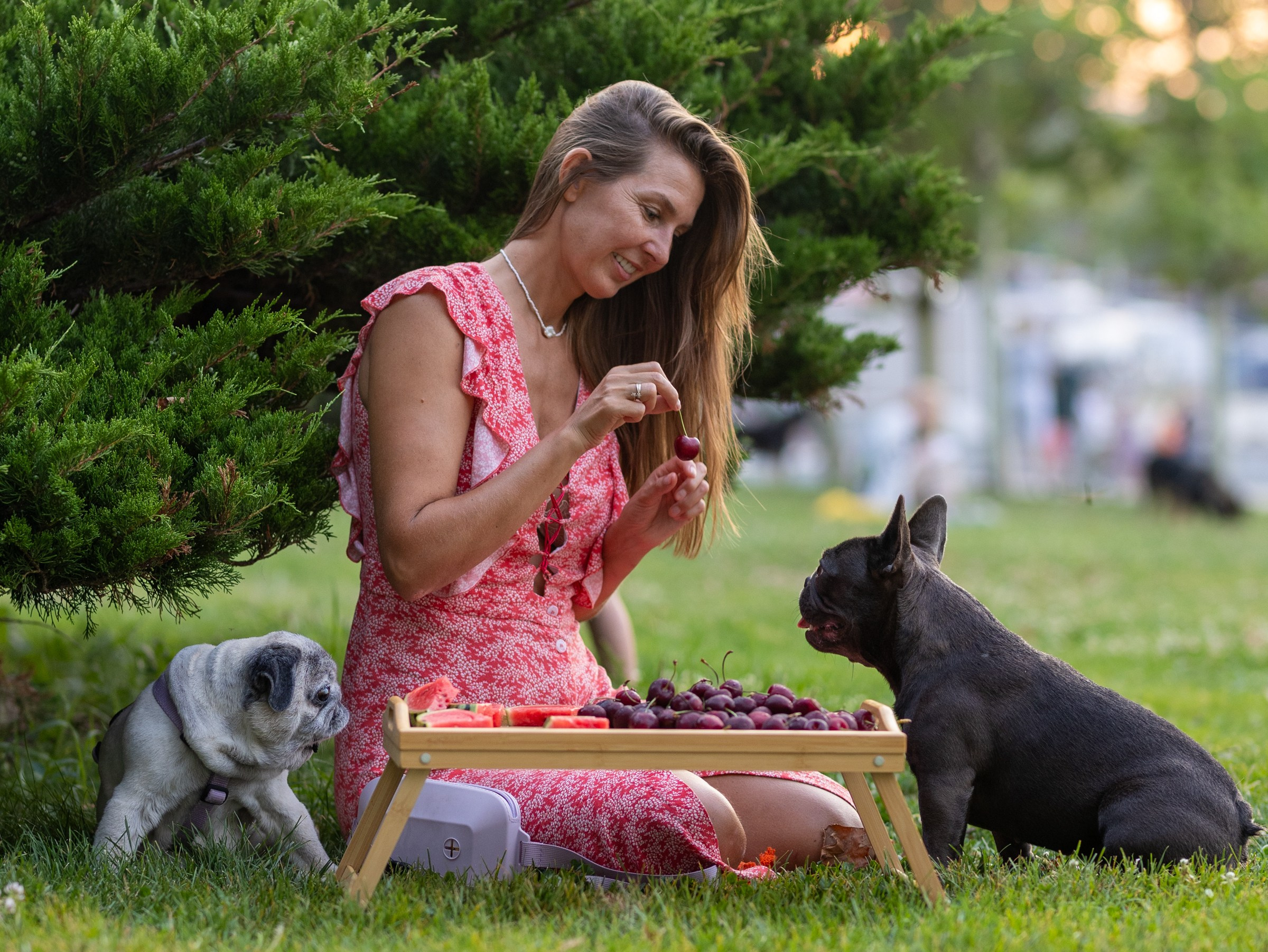 Сладкое лето. Фотограф-анималист в Москве Кириллова Татьяна