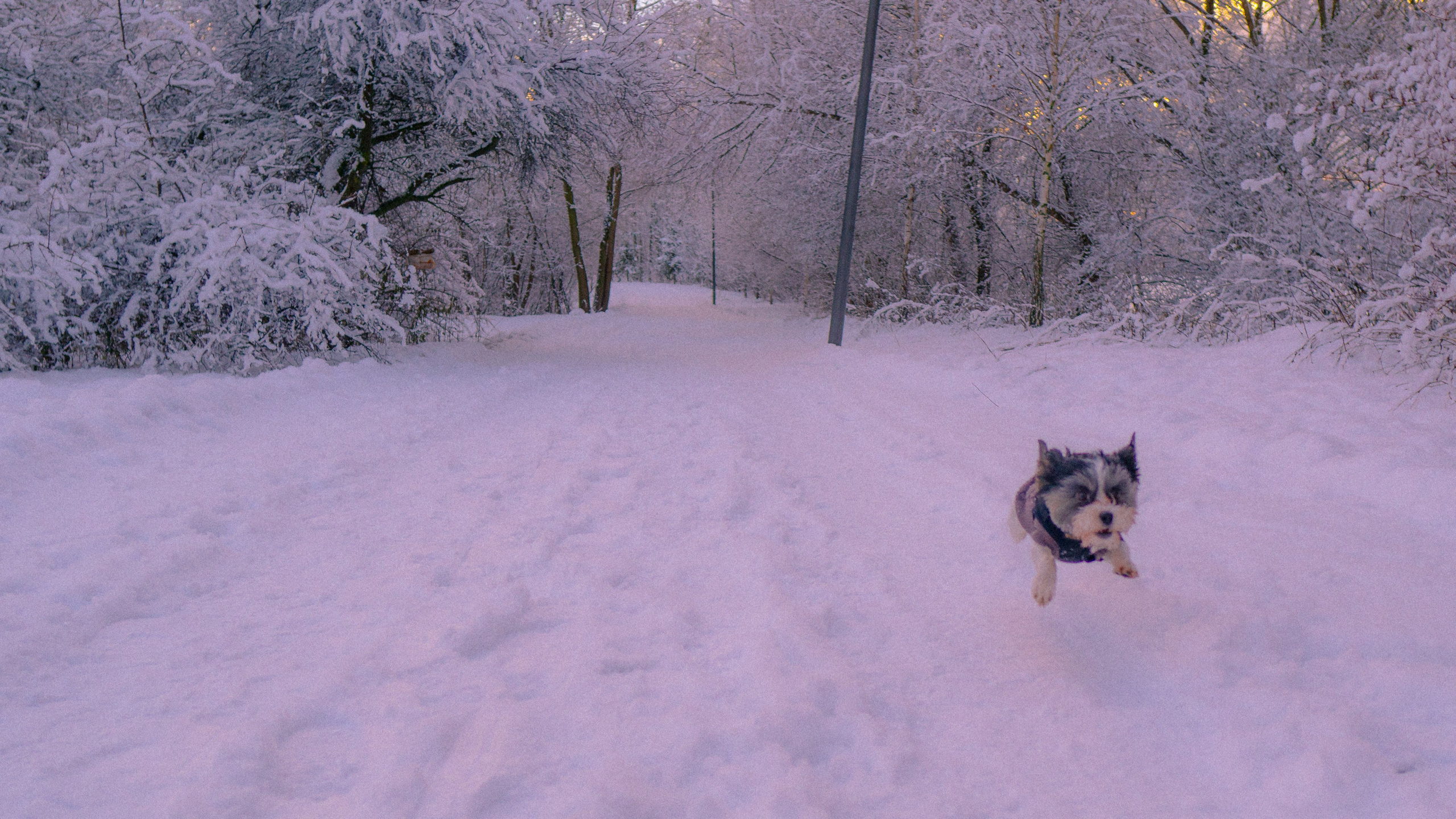 Зимняя сказка. Фёдор Малюгин. Ваш бади в визуале