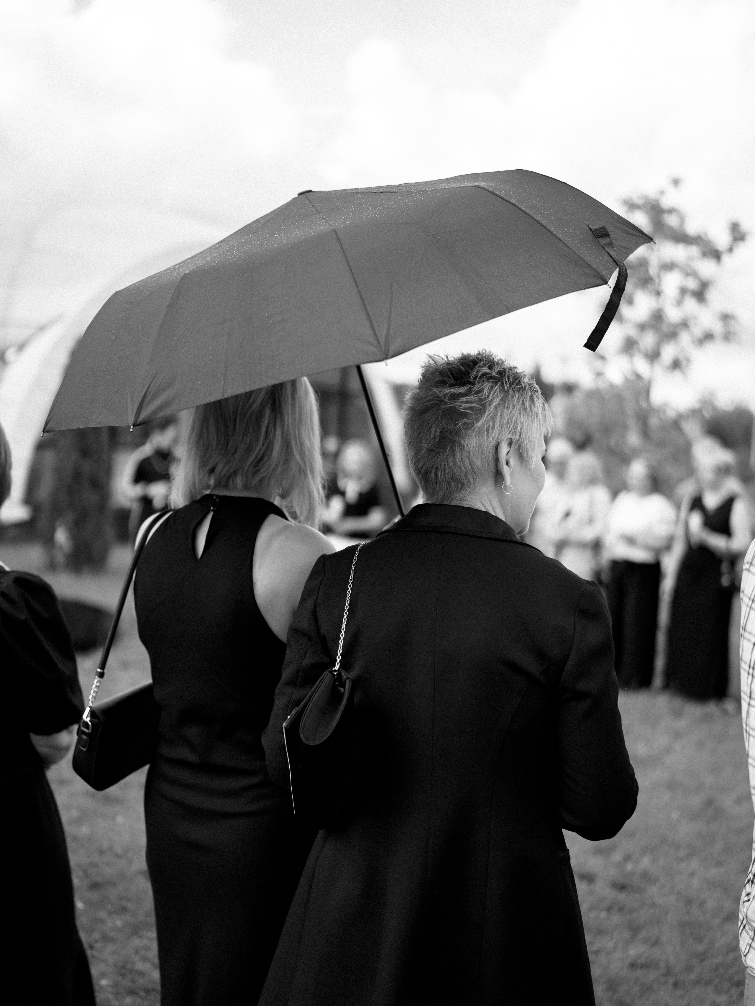 Настя и Вова 09.08.2025. Свадебный фотограф