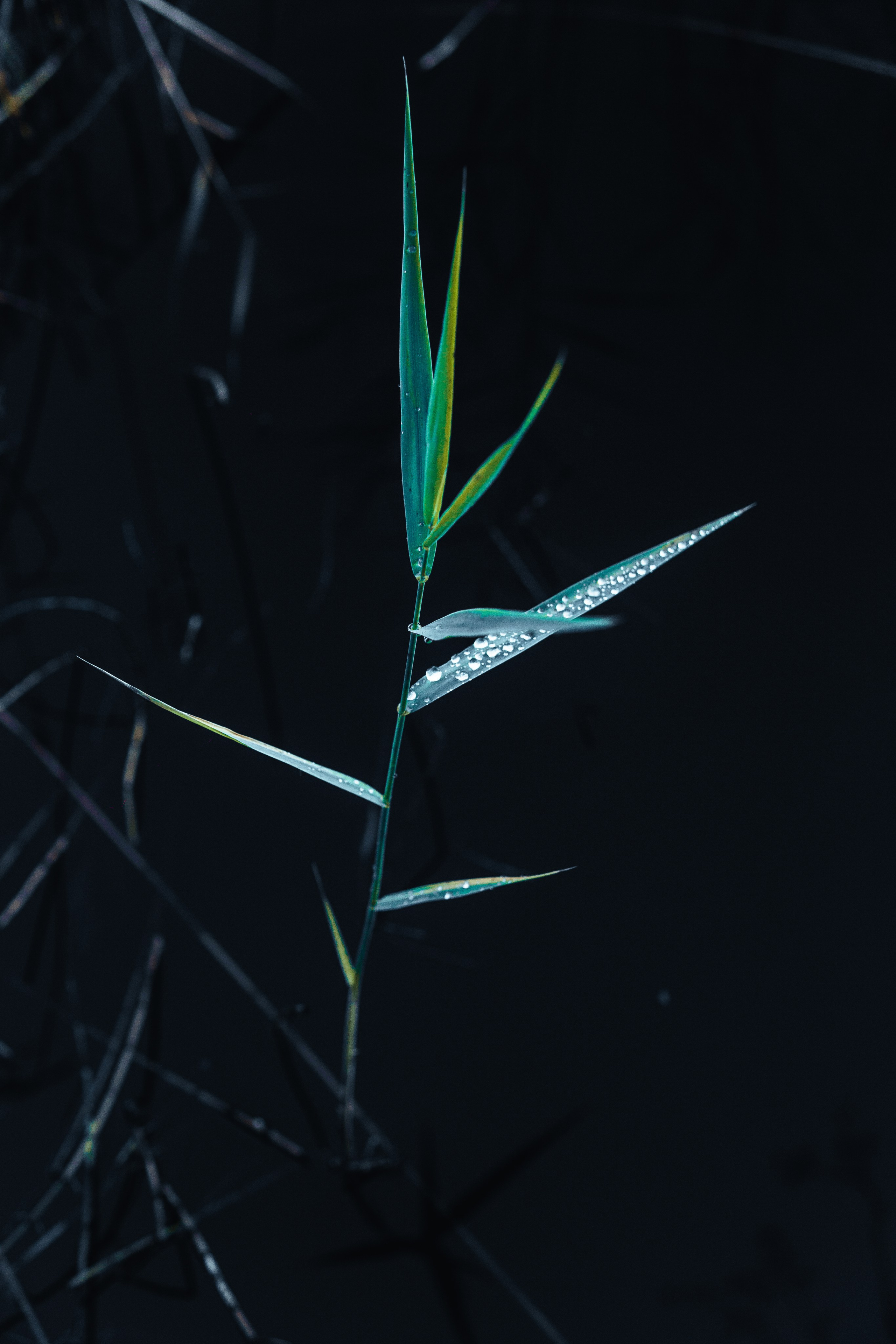 EXHIBITION. Репортажный и интерьерный фотограф, фотохудожник