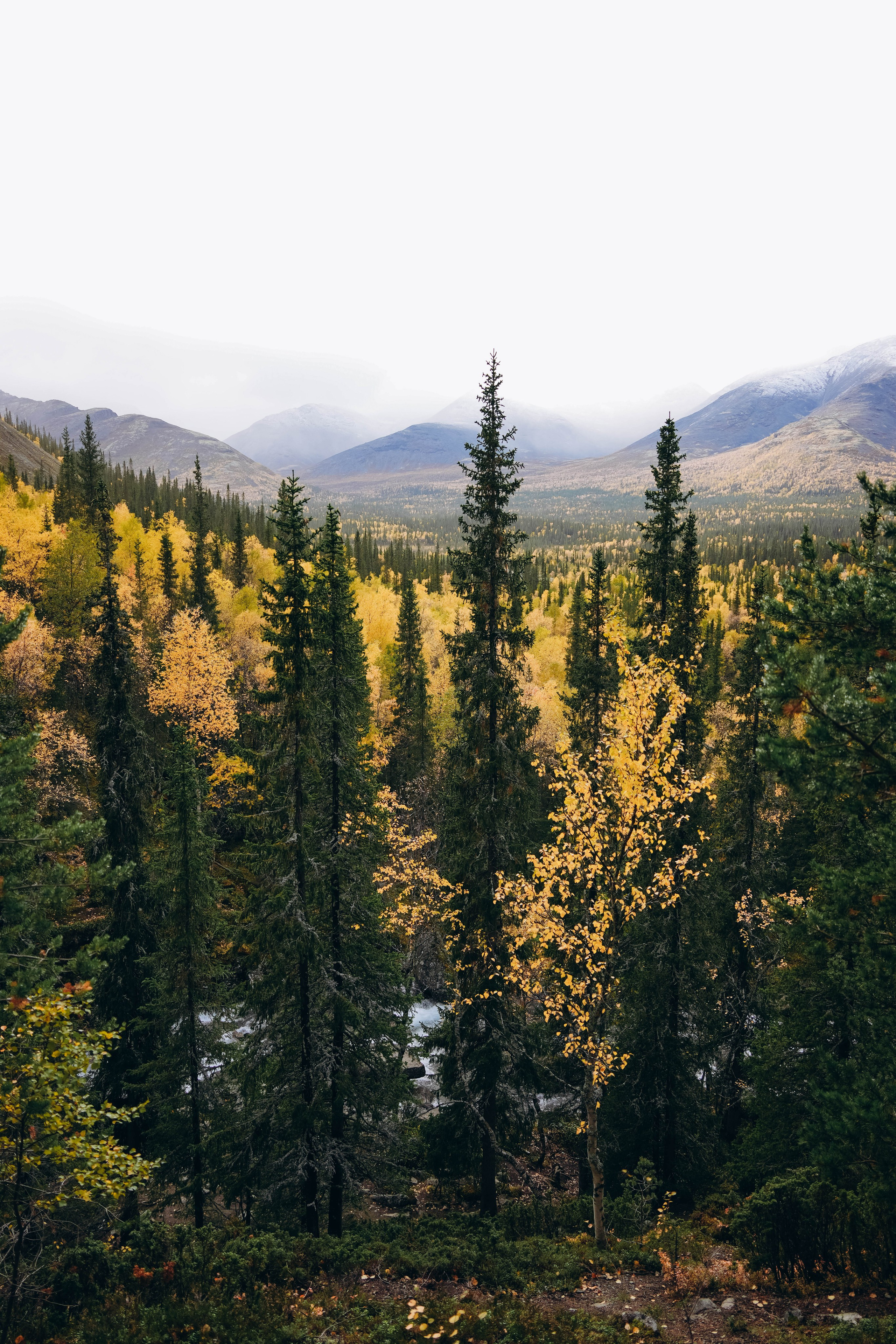 СЕВЕР. Event фотограф Степанова Александра