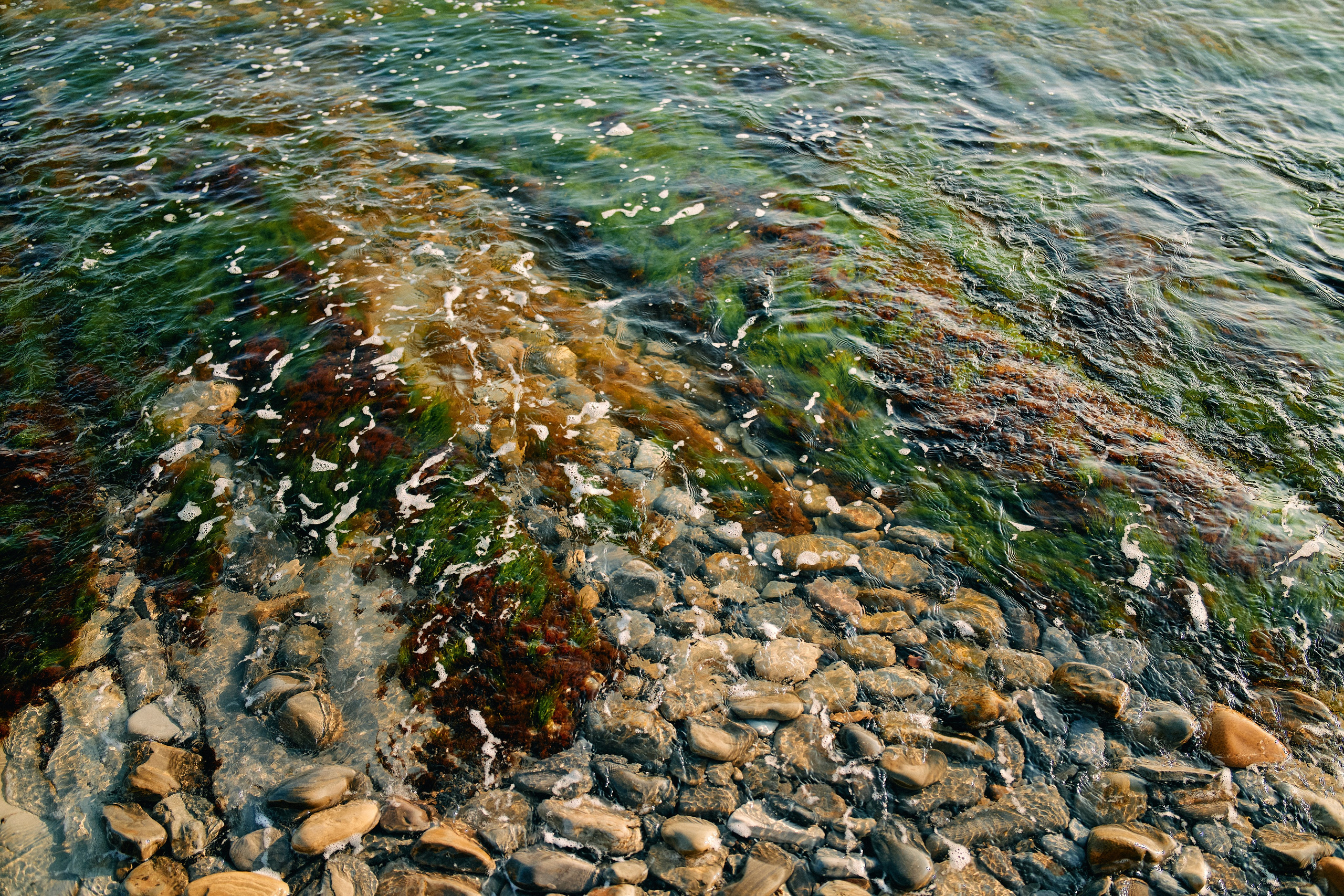 Юг России. Профессиональный Фотограф во Владимире, в Москве и в Суздале — Полина Романычева