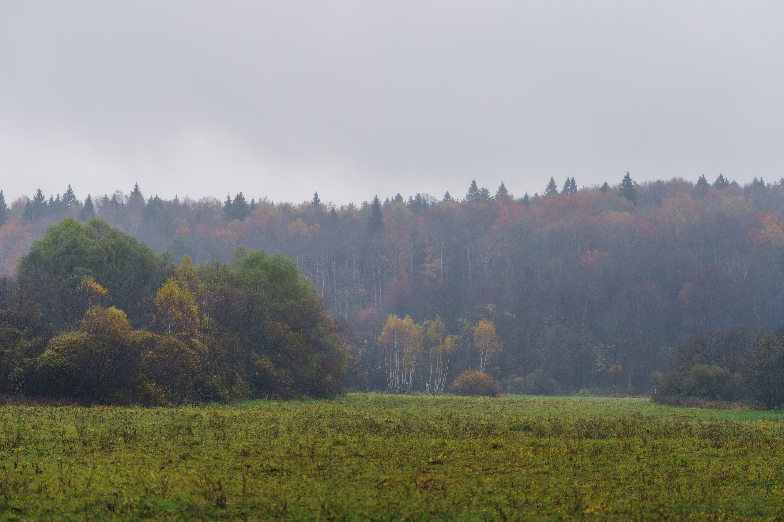 Фотографии Трейл Кутузов 2025. Фотограф спортивные события, недвижимость, турбизнес