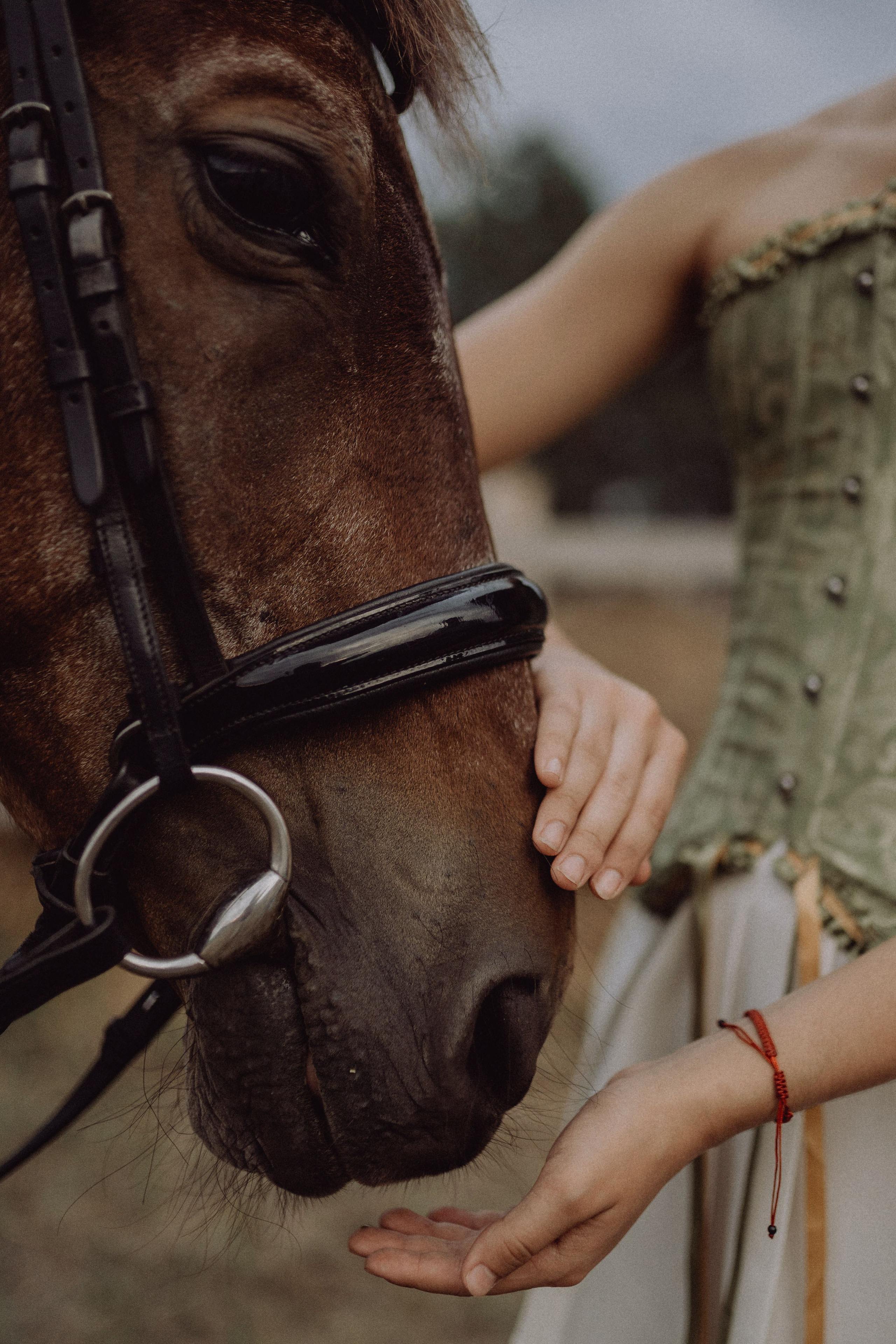 Конная прогулка. Фотограф Алексей Кутырёв