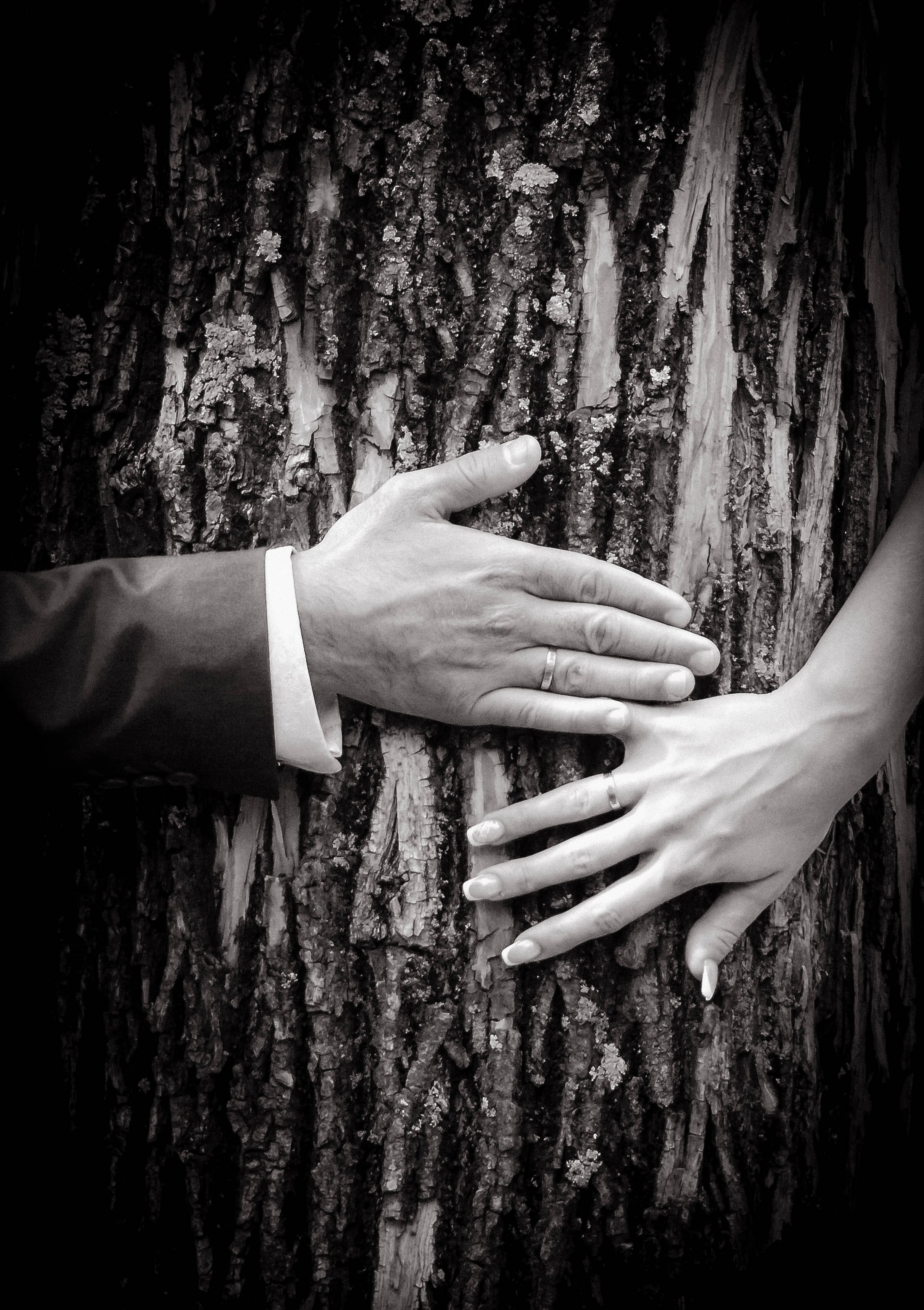 Свадебные фото. Фотограф Краснодара, фотограф в парке Галецкого.репортажный фотограф. детский фотограф, свадебный фотограф. профессиональный фотограф