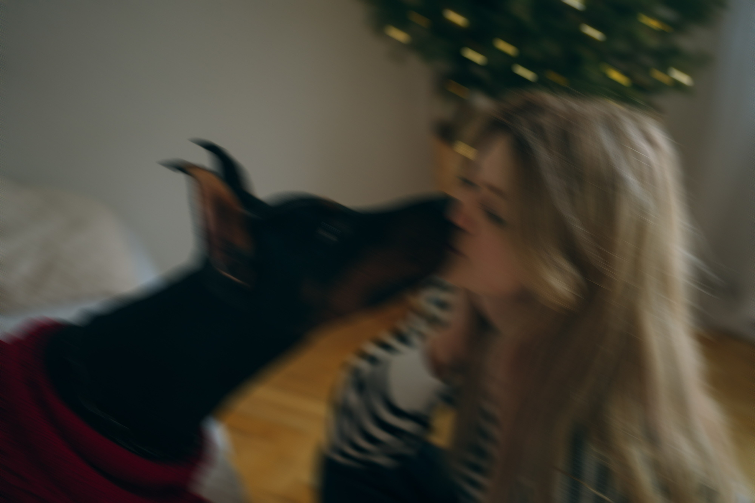 Саша и Асти. Фотограф анималист в Москве и Санкт-Петербурге Свиридова Анна