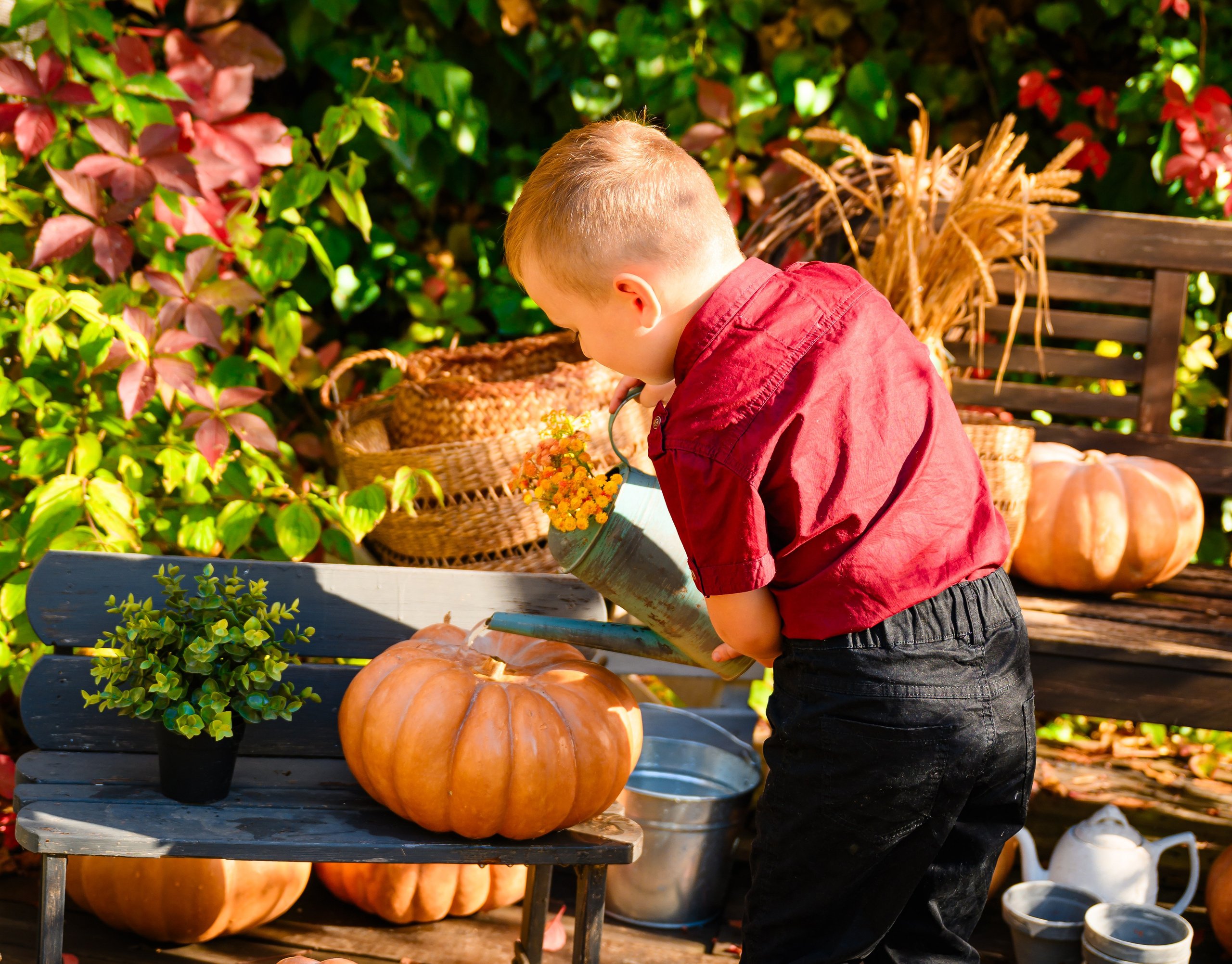 Семейные и детские фотосессии. Студийный и свадебный фотограф и видеограф в Севастополе — Юлия Макаренко