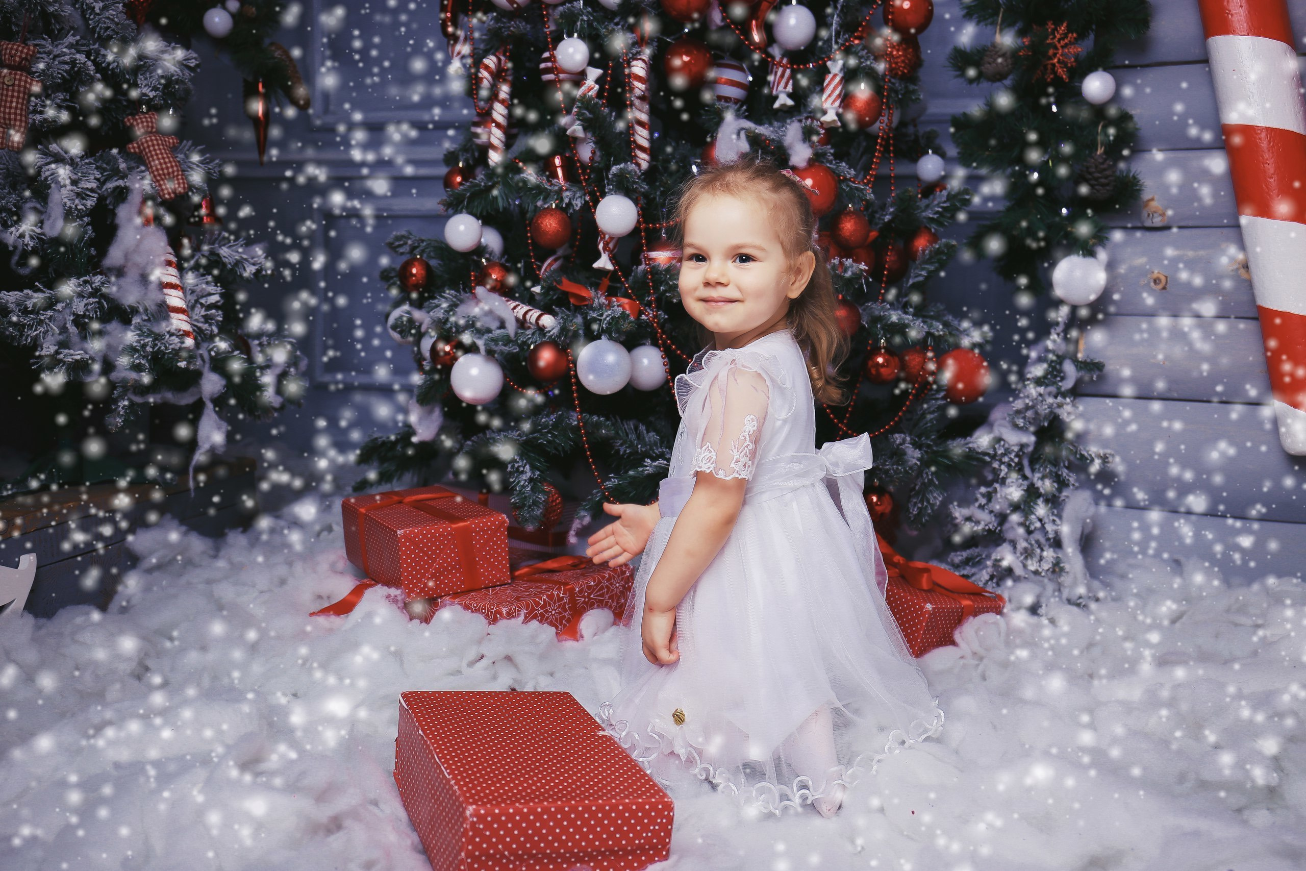 Новогодние фотосессии,Новый Год 2017. Свадебный и семейный профессиональный фотограф в Ростове-на-Дону , Кри