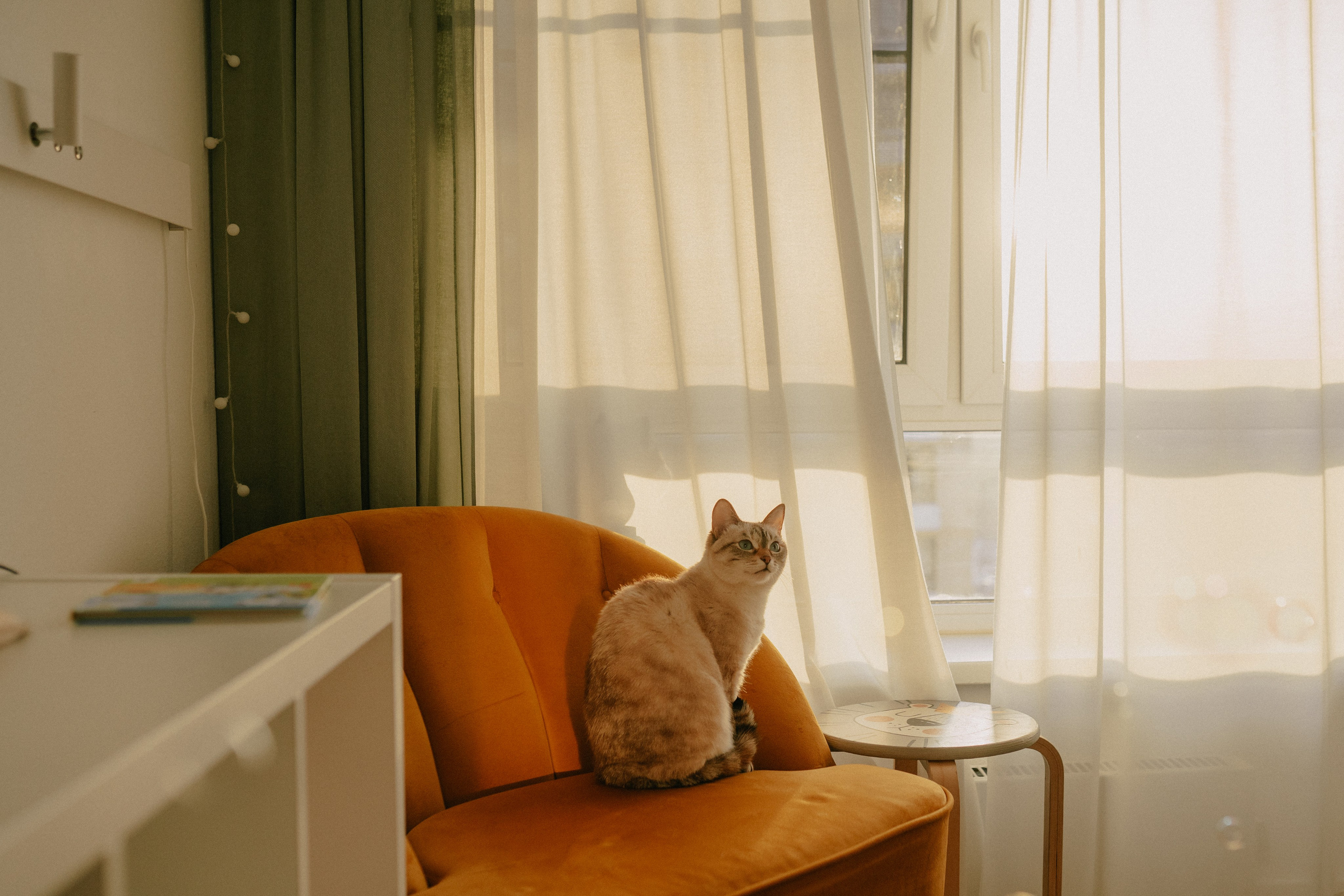 Костя. Семейный фотограф Москва