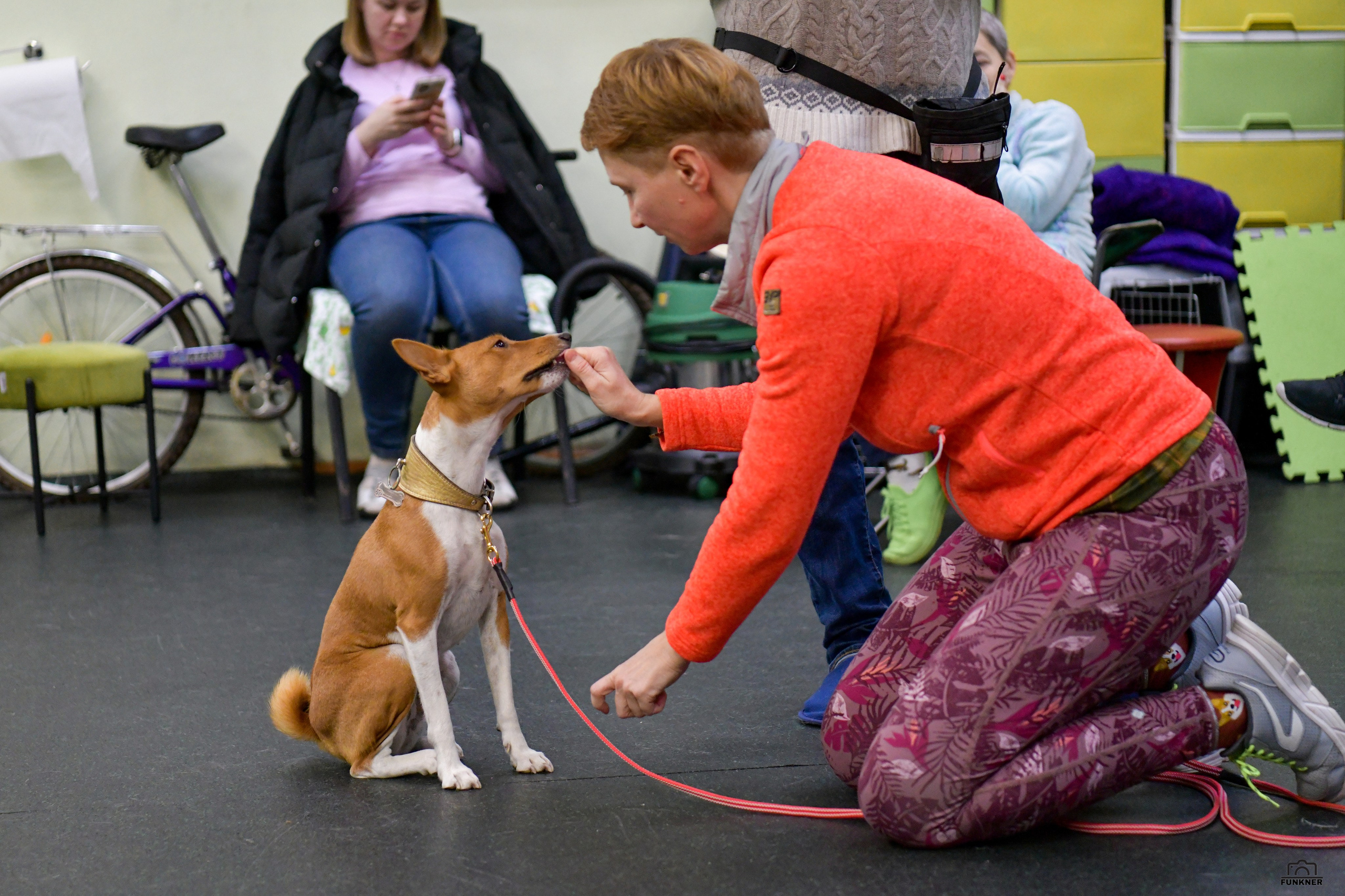 Кинологический клуб «Бодрый хвост». Свой взгляд через объектив