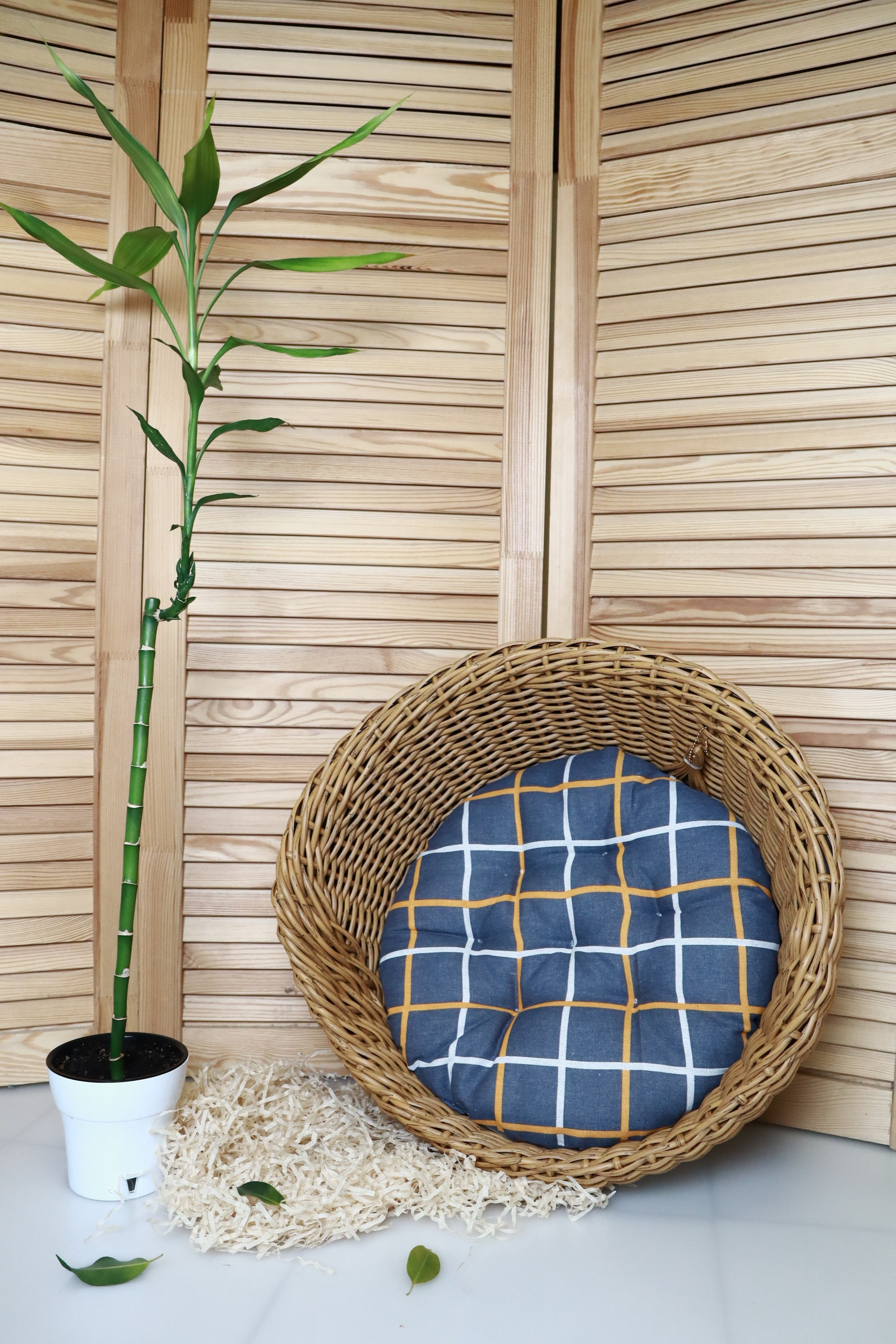 ПРЕДМЕТНАЯ съемка для рекламы. VSolo — ваш EVENT фотограф