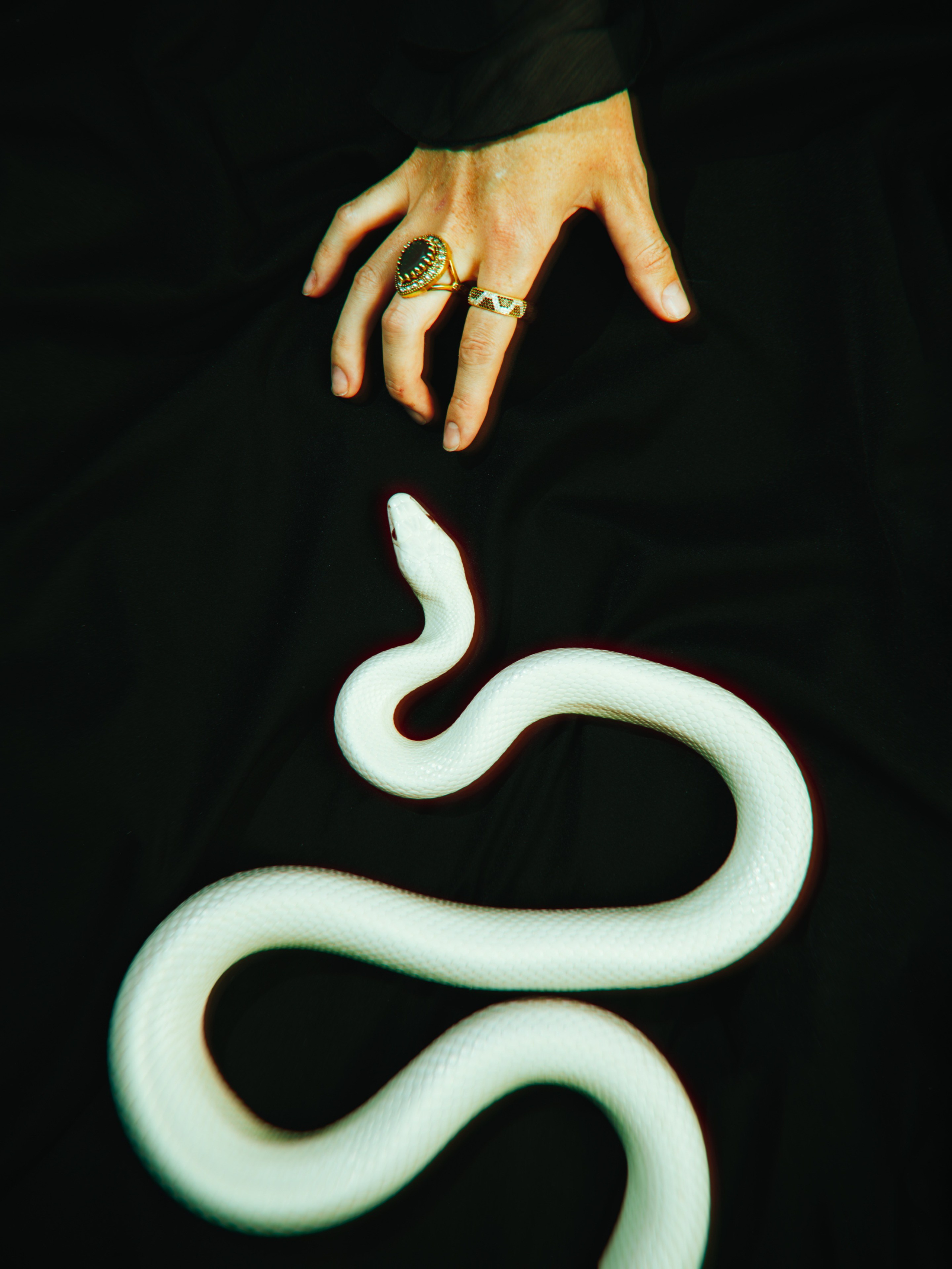 Портрет Медузы Горгоны. Коммерческий фотограф в Москве — Антон Ермаков