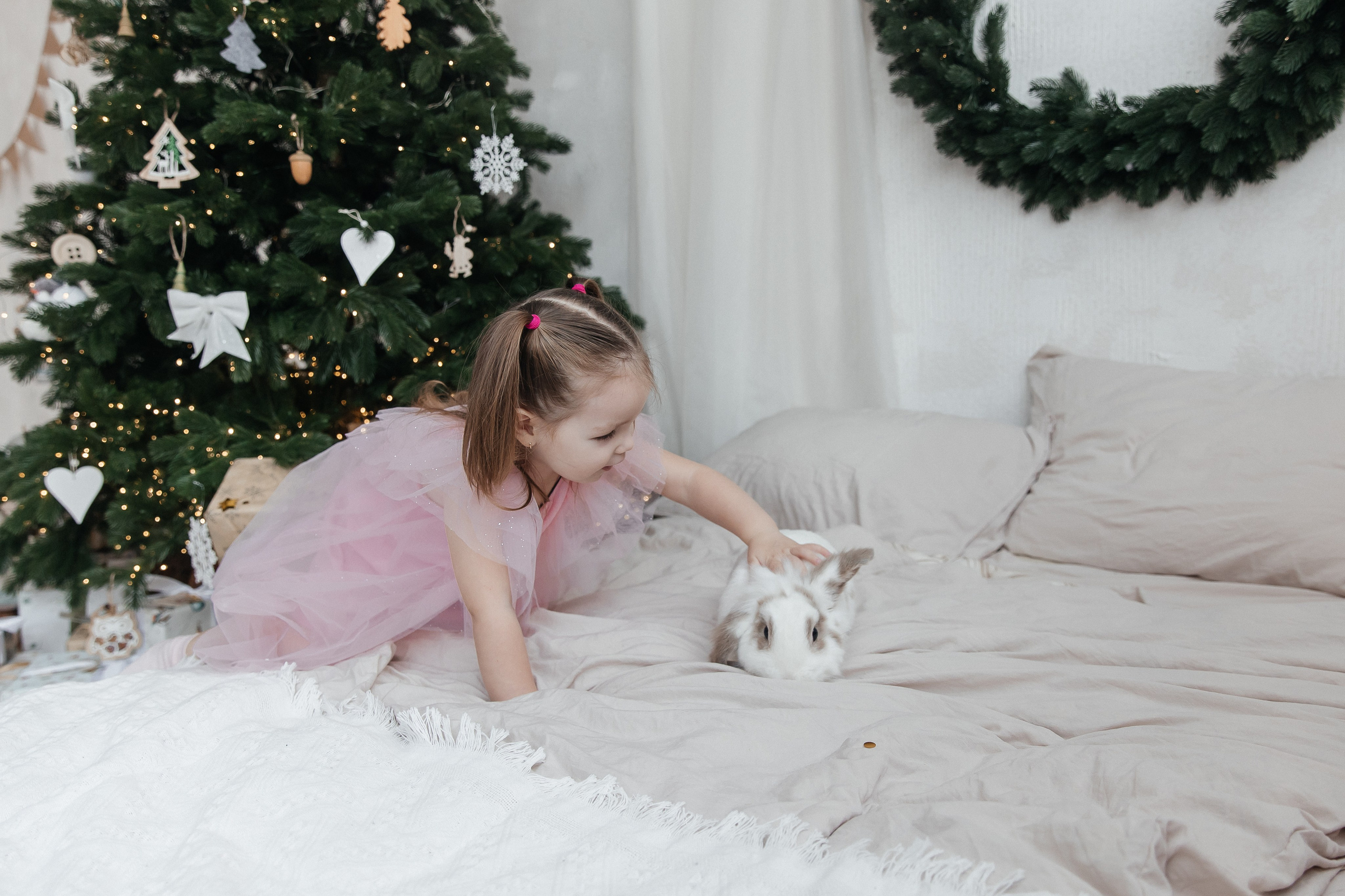 Новогодняя фотосессия с кроликом 🐰