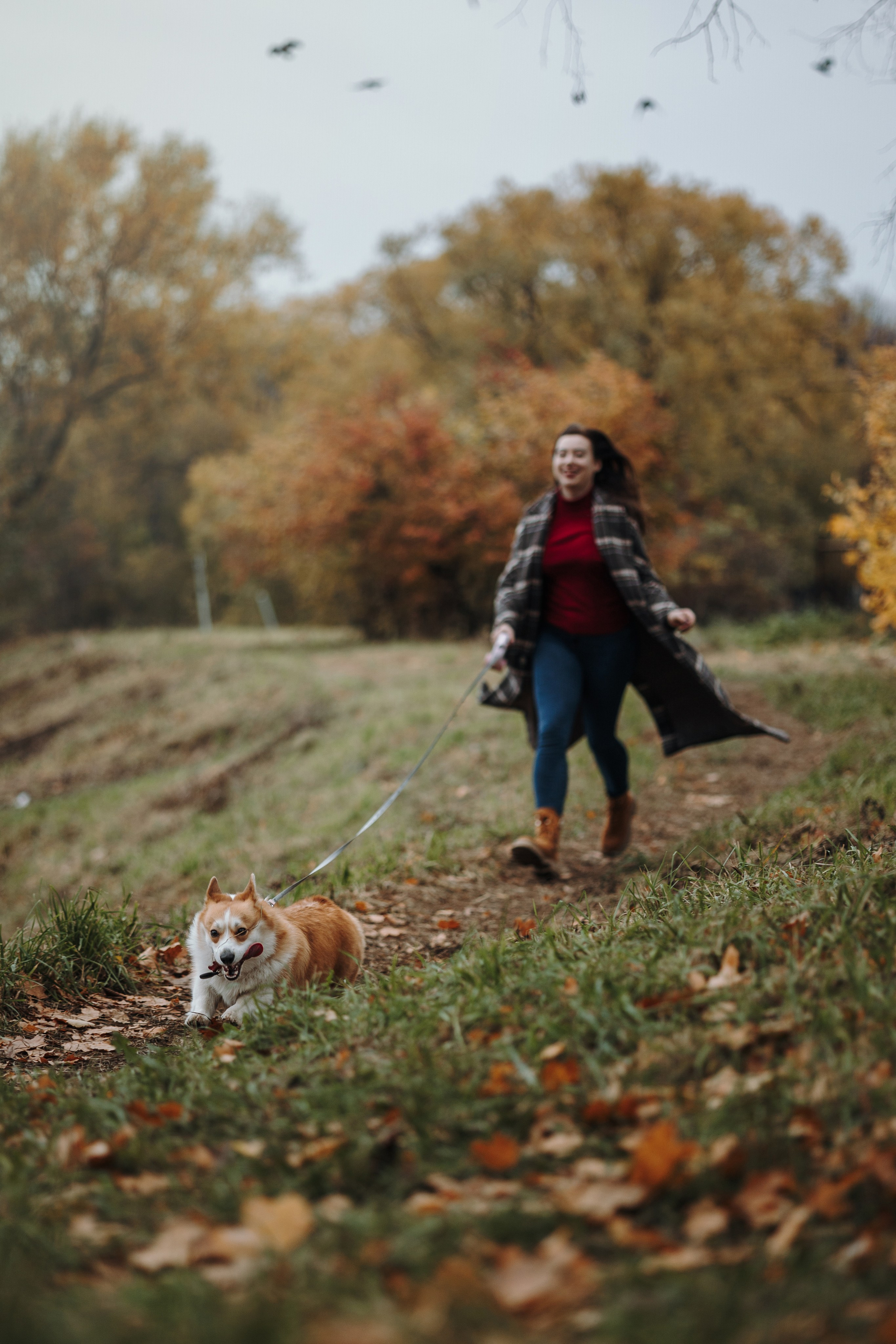 Юля и Терри. Фотограф — Анималист | Санкт-Петербург