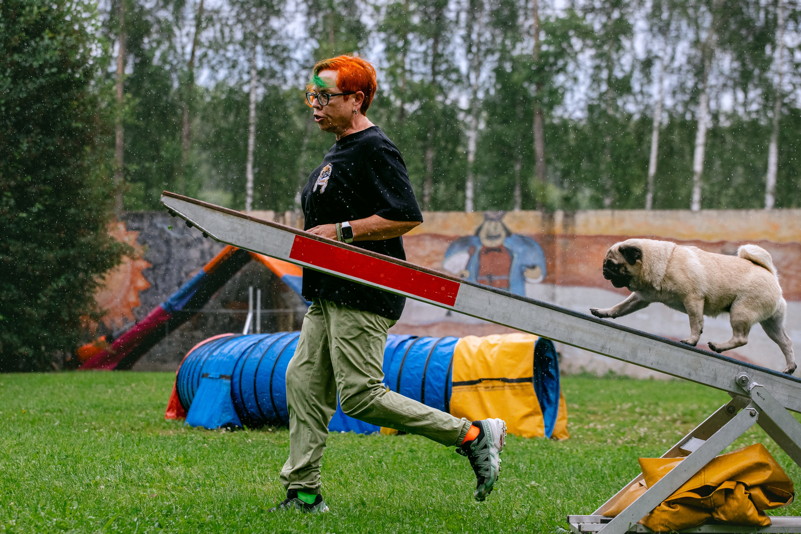 Соревнования по аджилити Долгопрудный 30.06.2025. Фотограф-анималист Татьяна Степанова
