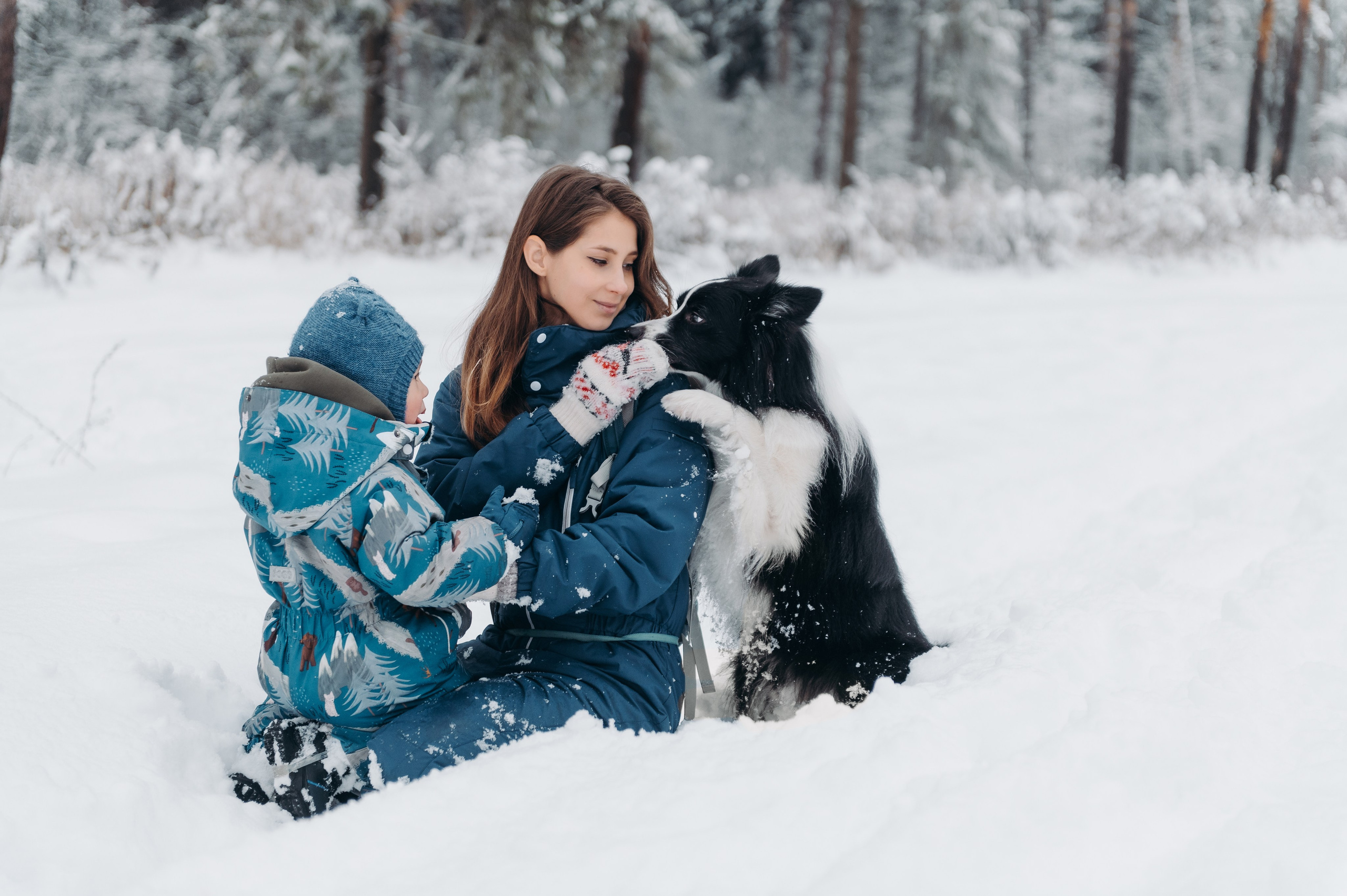 Снежная прогулка. Главная