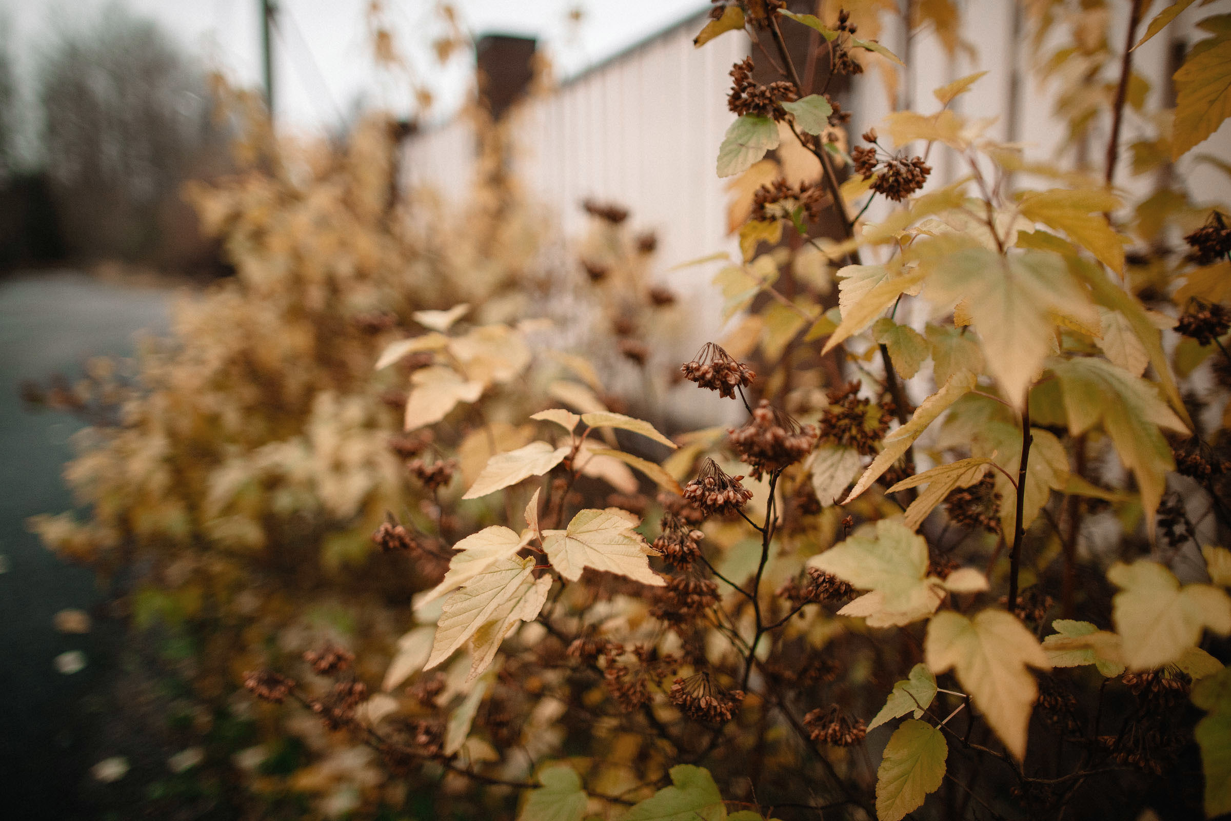 "Хочу, чтобы завтра был выходной". Семейный и свадебный фотограф в Майкопе Михаил Мартиросян