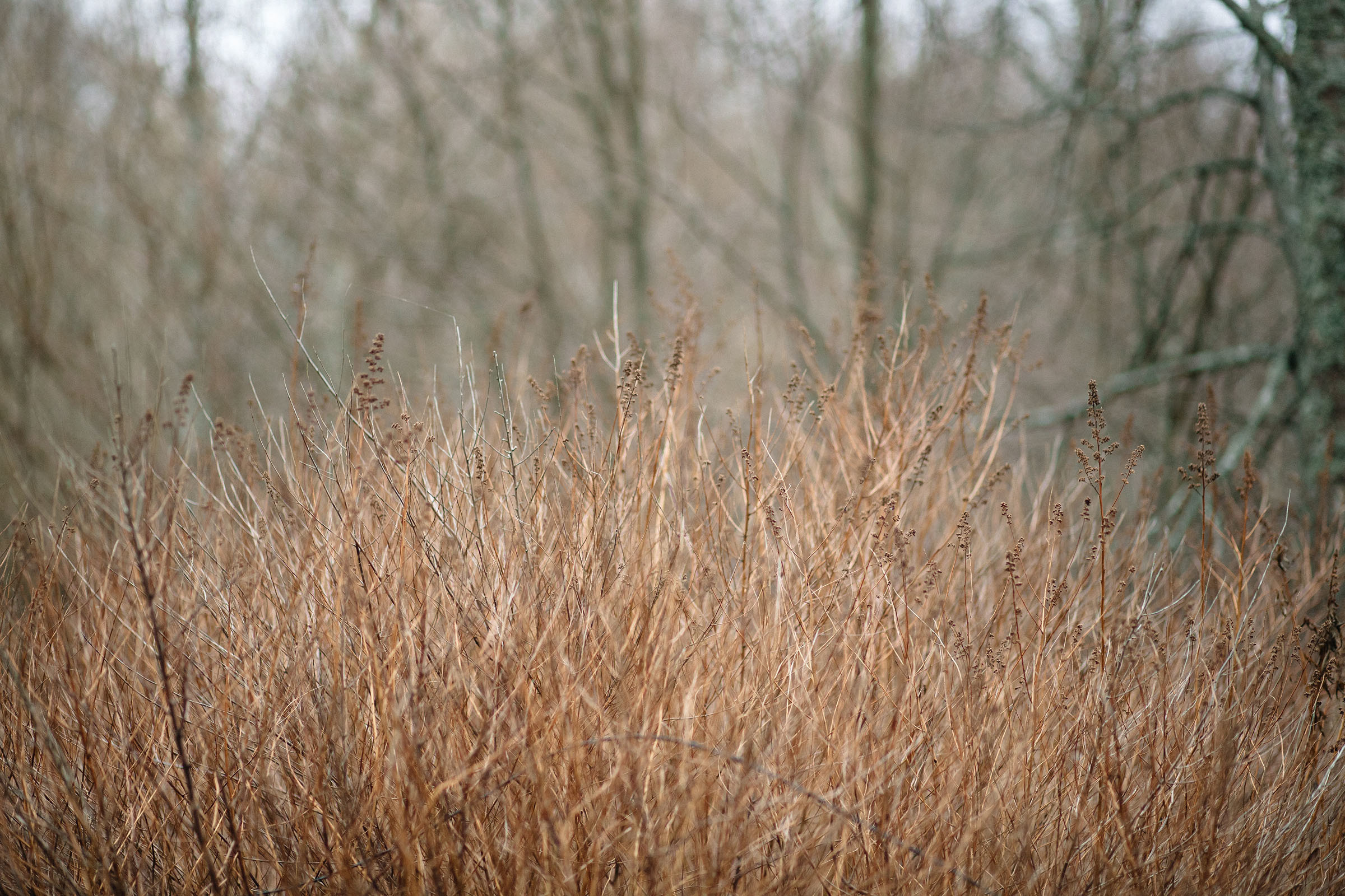 "Хочу, чтобы завтра был выходной". Семейный и свадебный фотограф в Майкопе Михаил Мартиросян