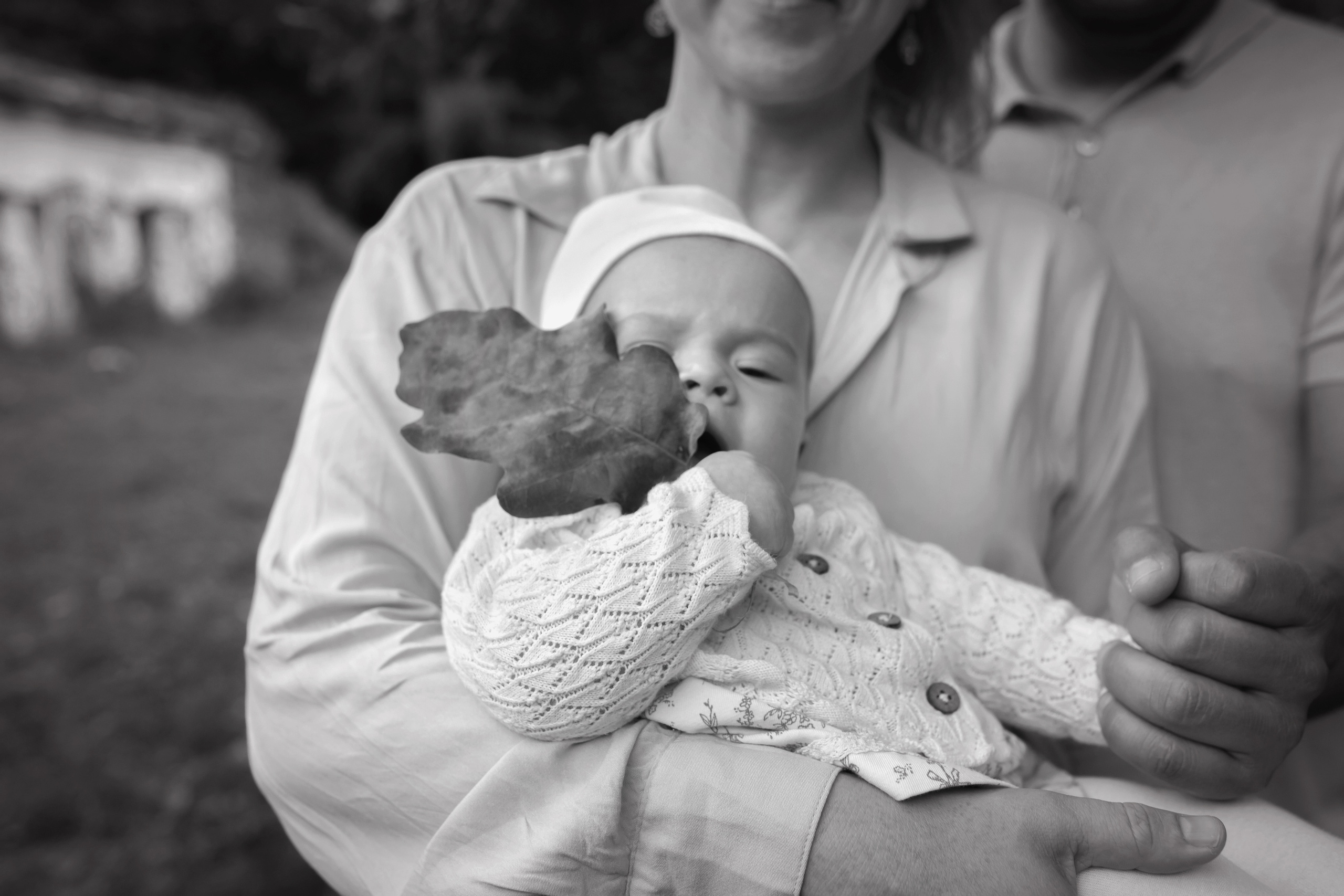 Ольга, Мигель, Сельма. Семейный и детский фотограф в Москве Дорогова Екатерина