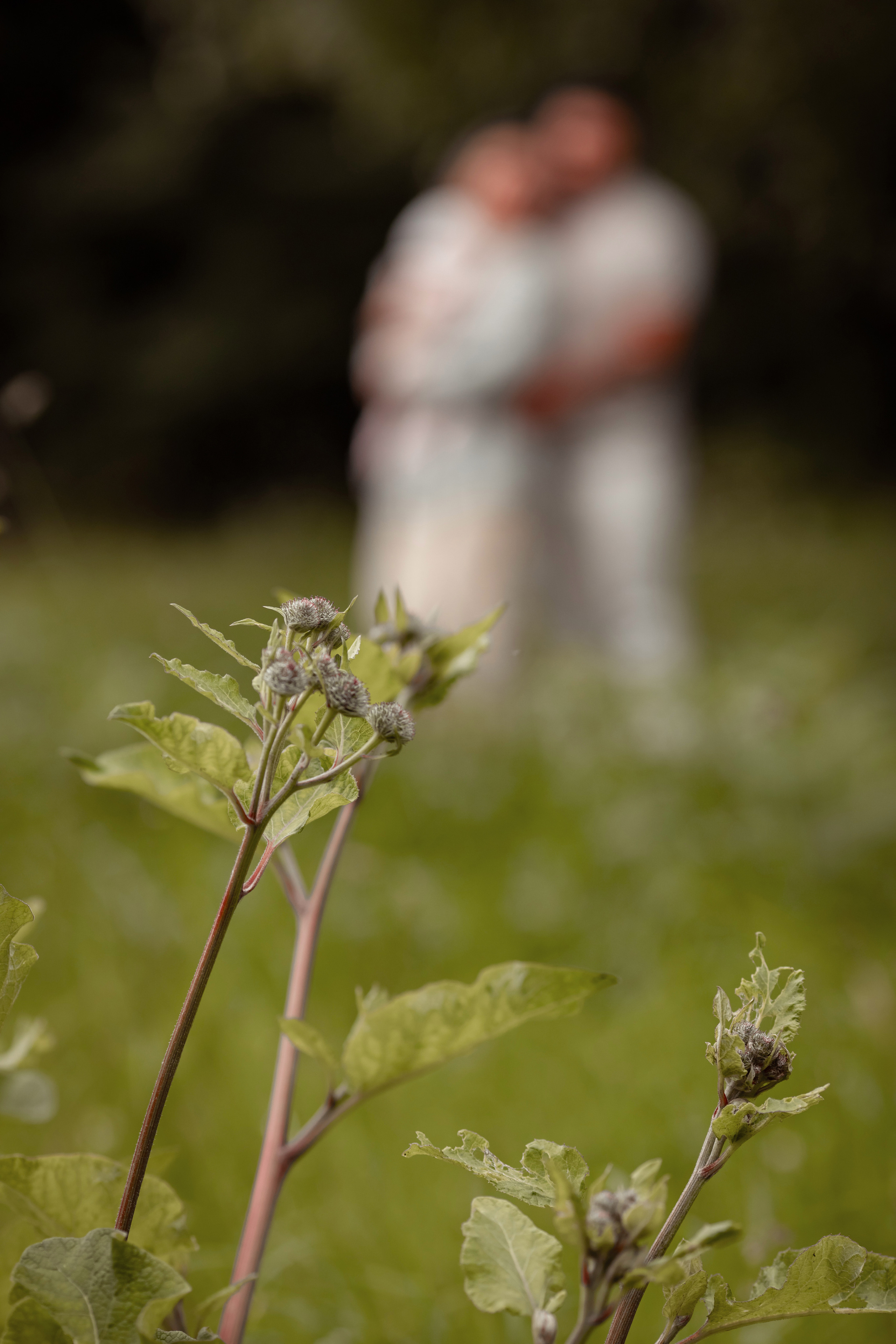 Ольга, Мигель, Сельма. Семейный и детский фотограф в Москве Дорогова Екатерина