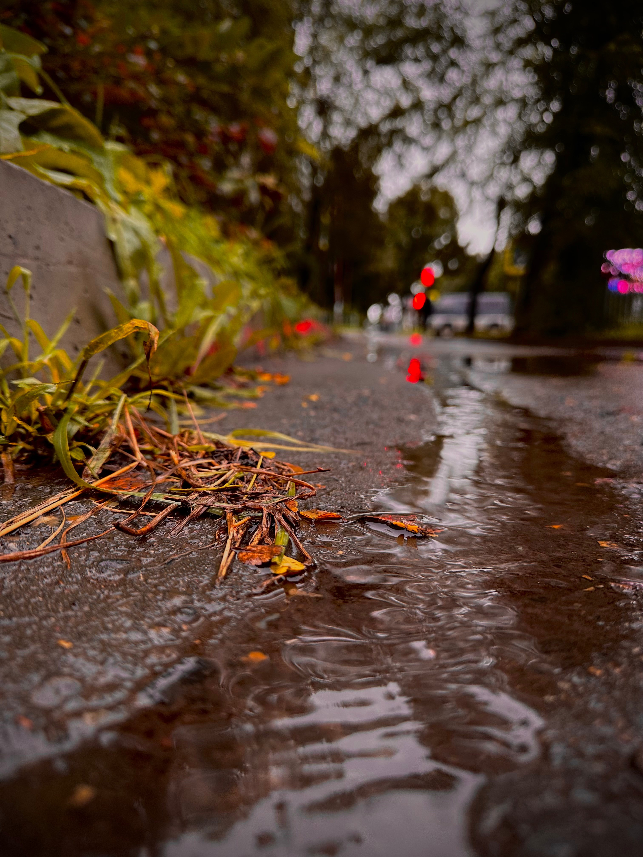 Мобильная фотография