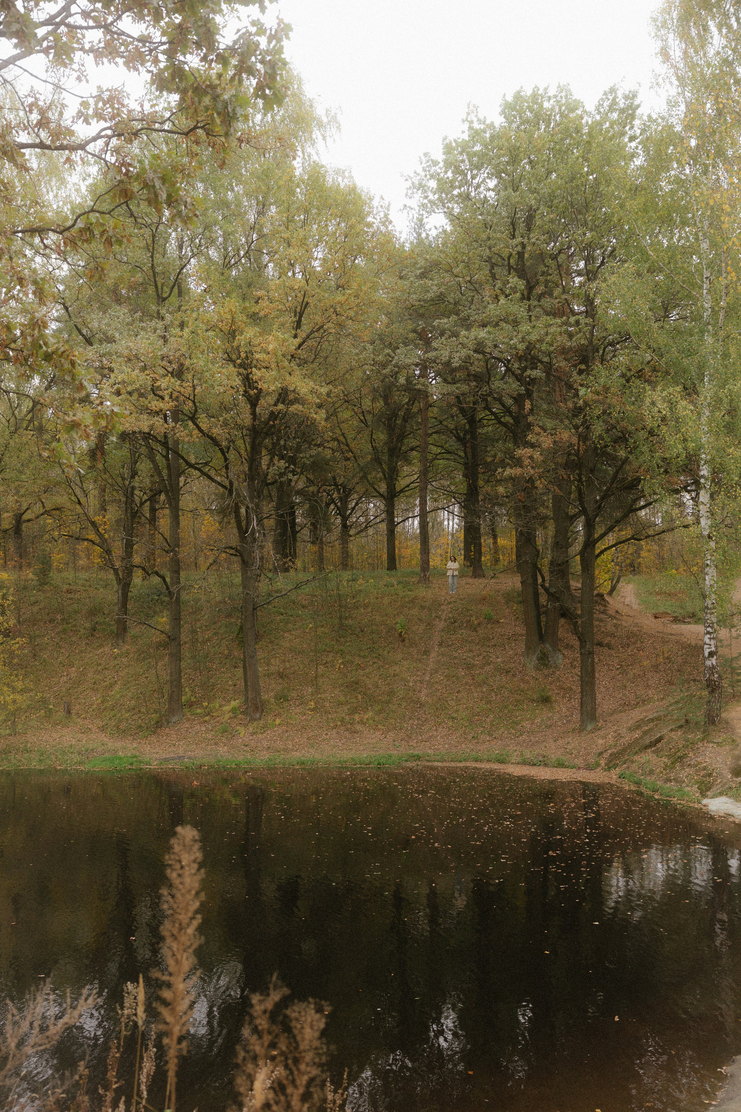 Наташа. Семейный и детский фотограф Юлия Шох