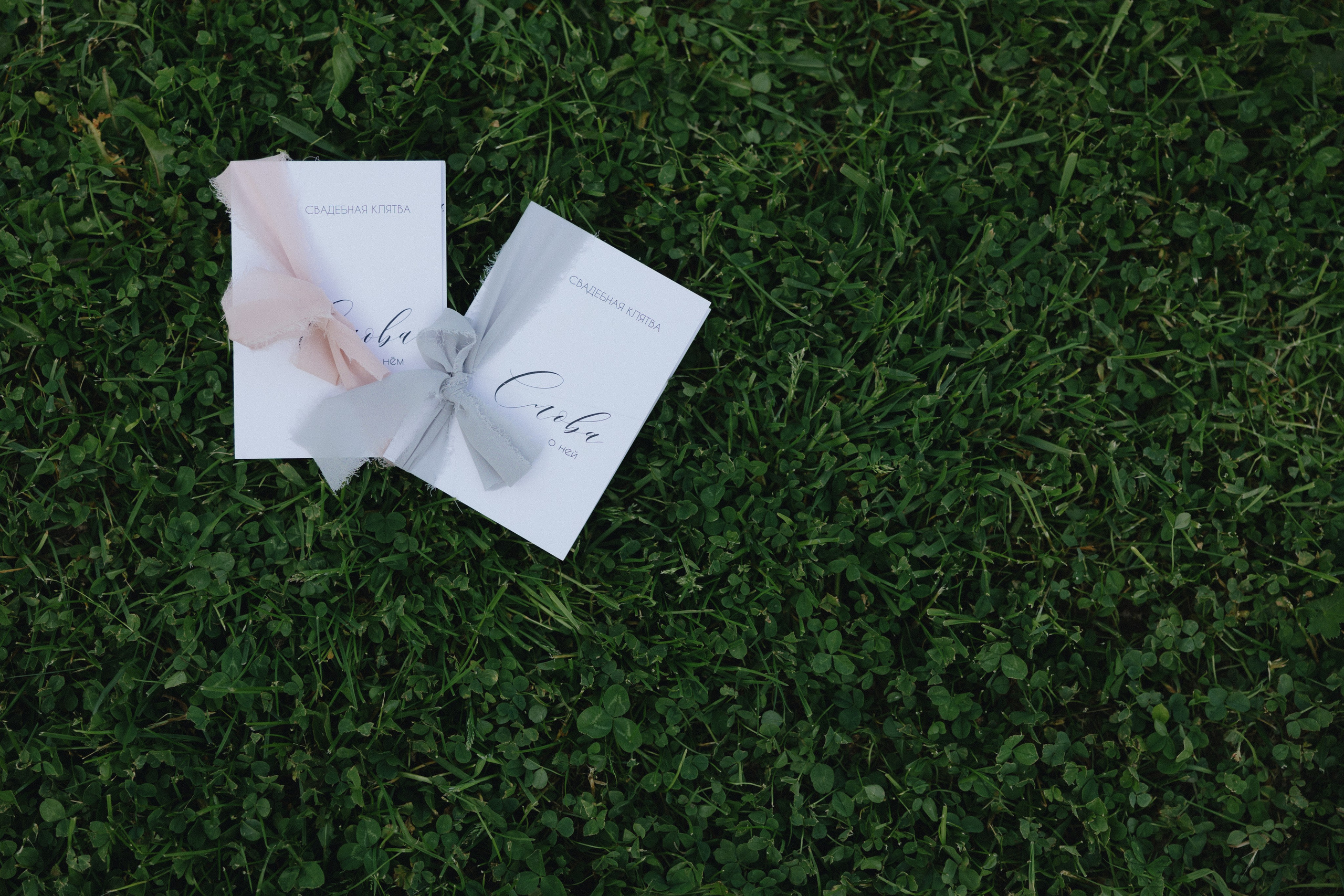 Под открытым небом / 2025. Фотограф СПб