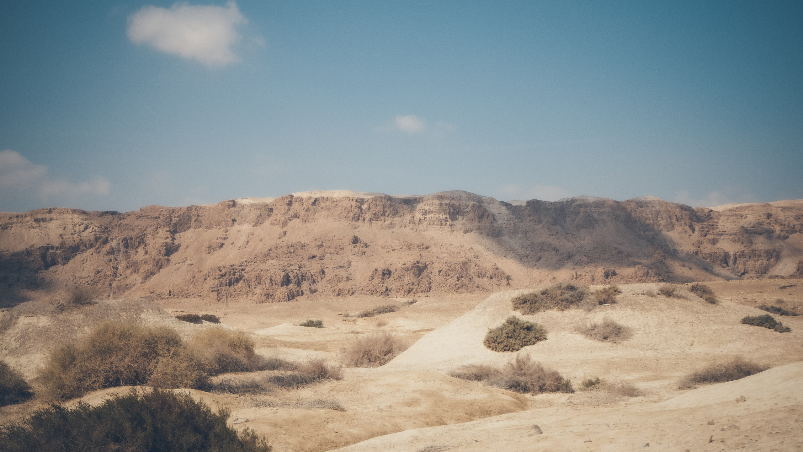 Израиль. Свадебный фотограф Копков Геннадий