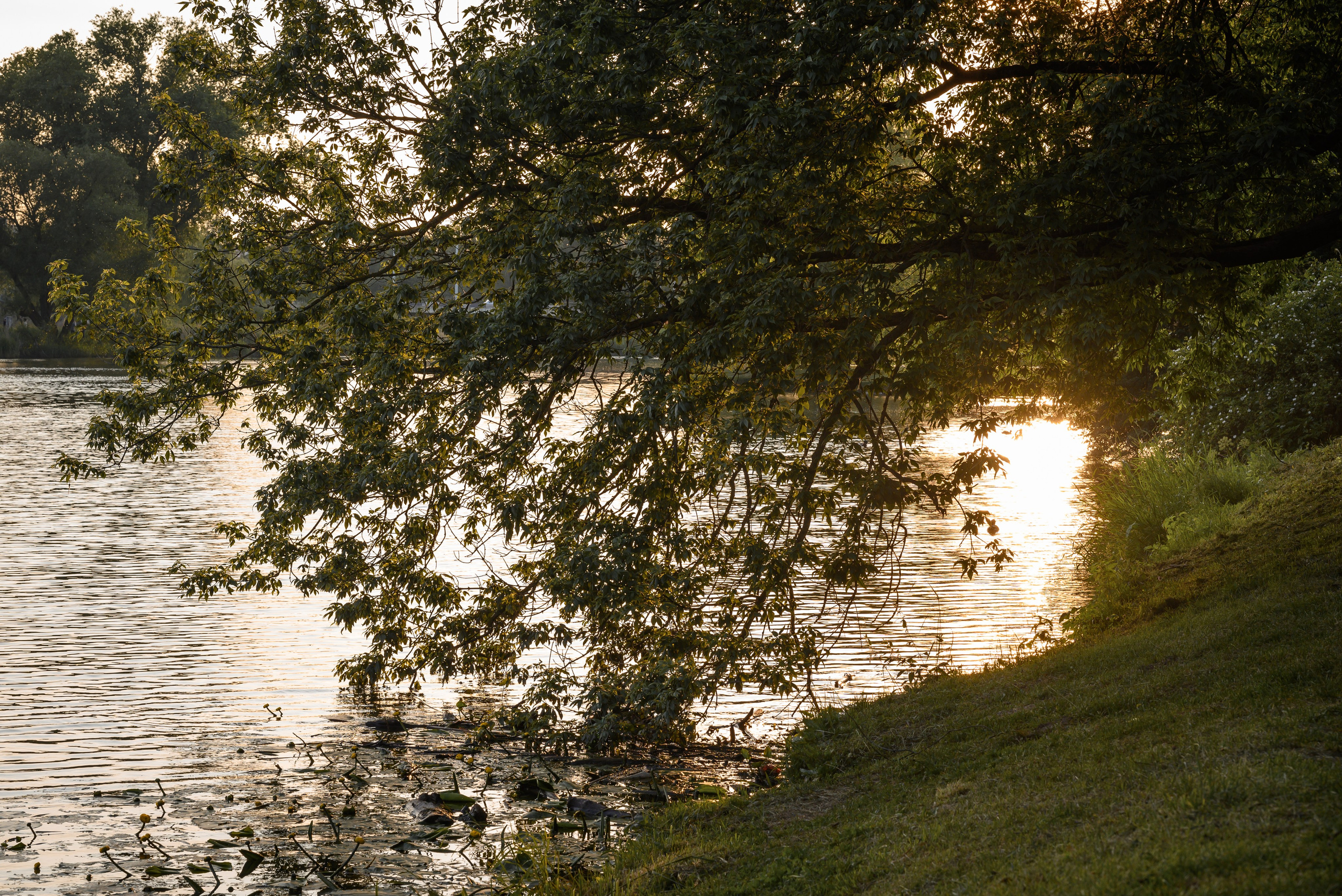 Места. Фотограф в Минске Дарья Кончакова