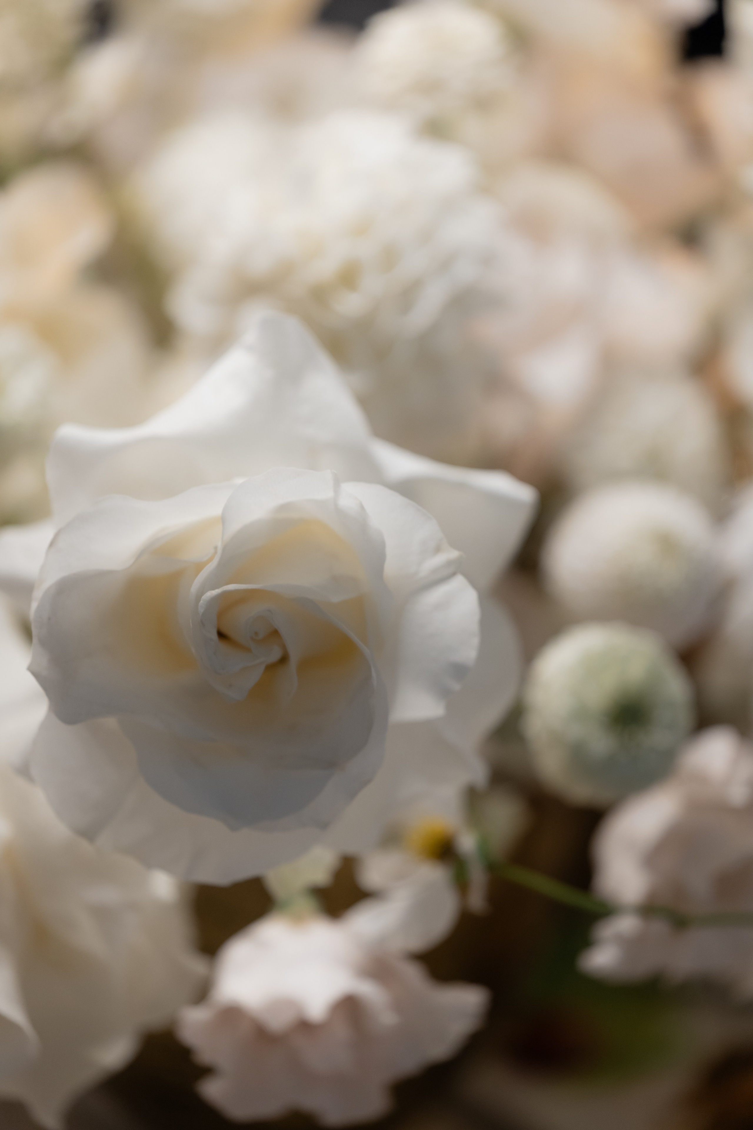 Marta & Arseniy. Свадебный фотограф Кристина Винокурова