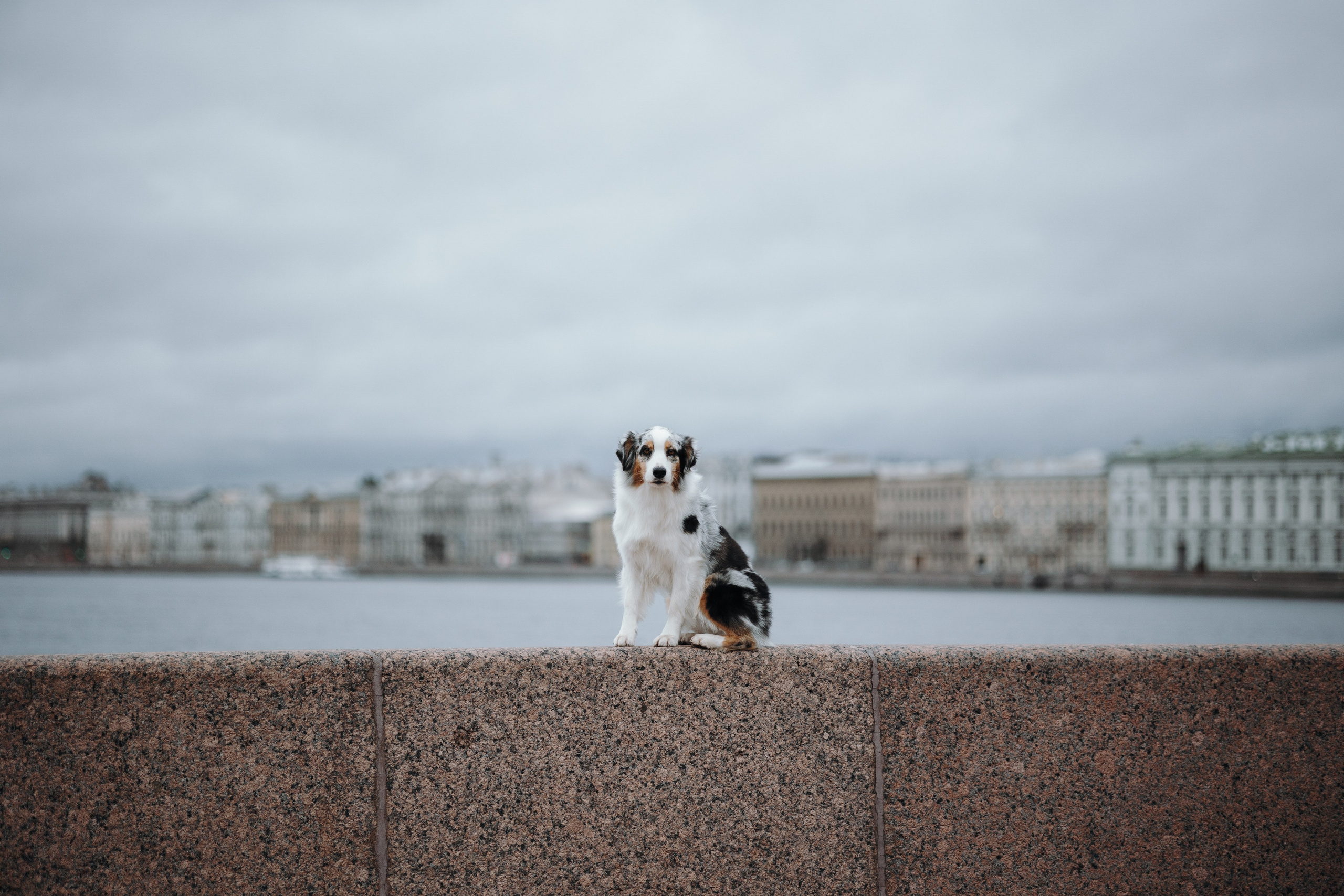 Ирина и Кайса. Фотограф — Анималист | Санкт-Петербург