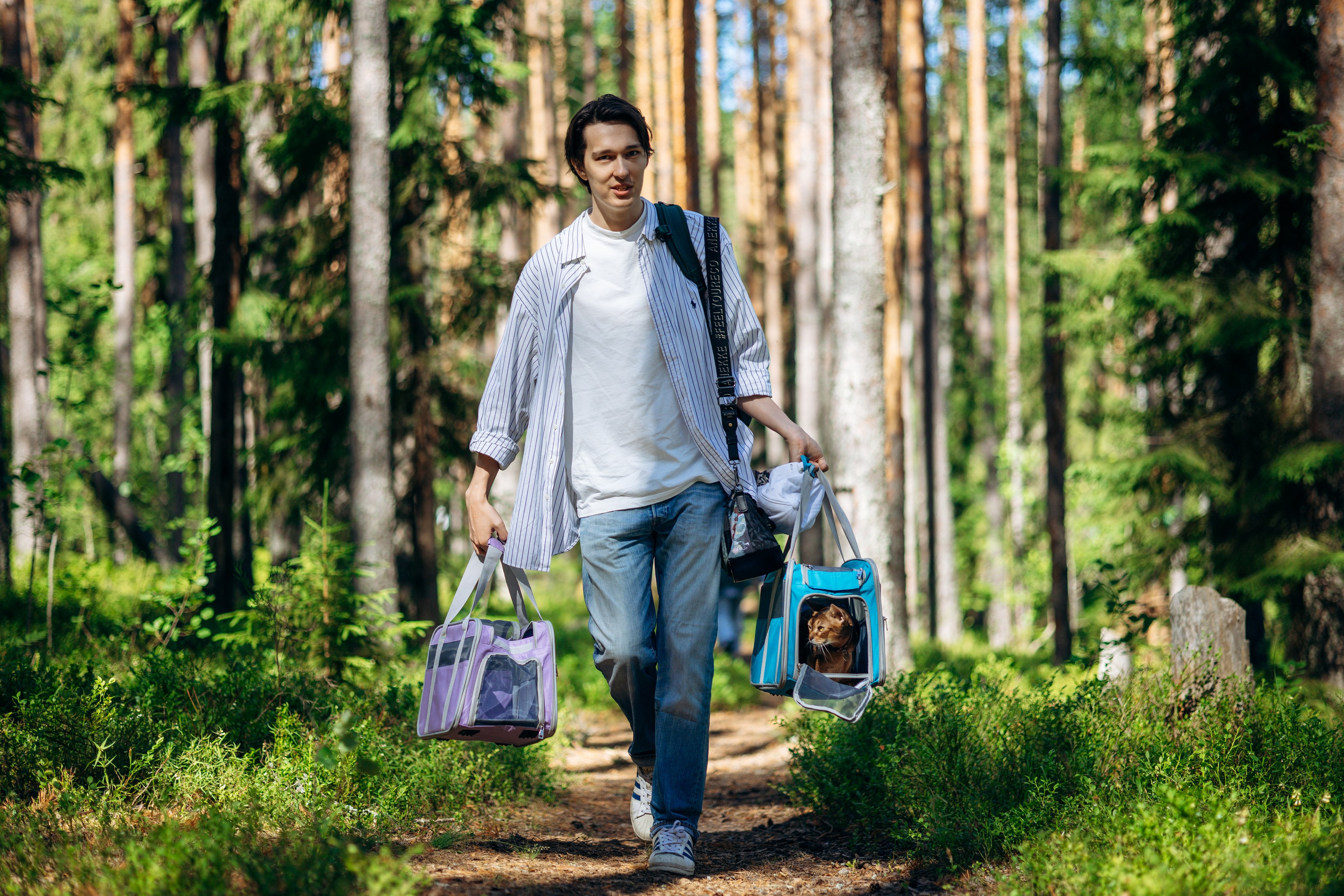 Котофеи и их семья. Фотограф — Анималист | Санкт-Петербург