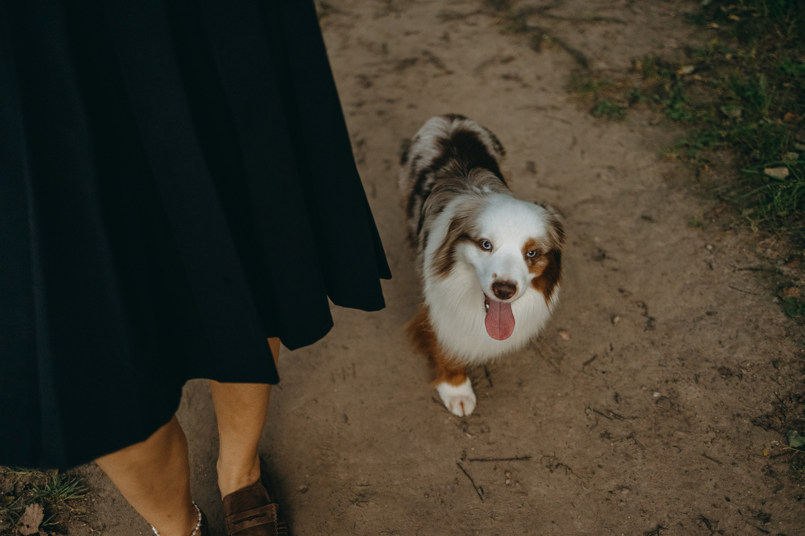 Маша и Эклер. Фотограф — Анималист | Санкт-Петербург