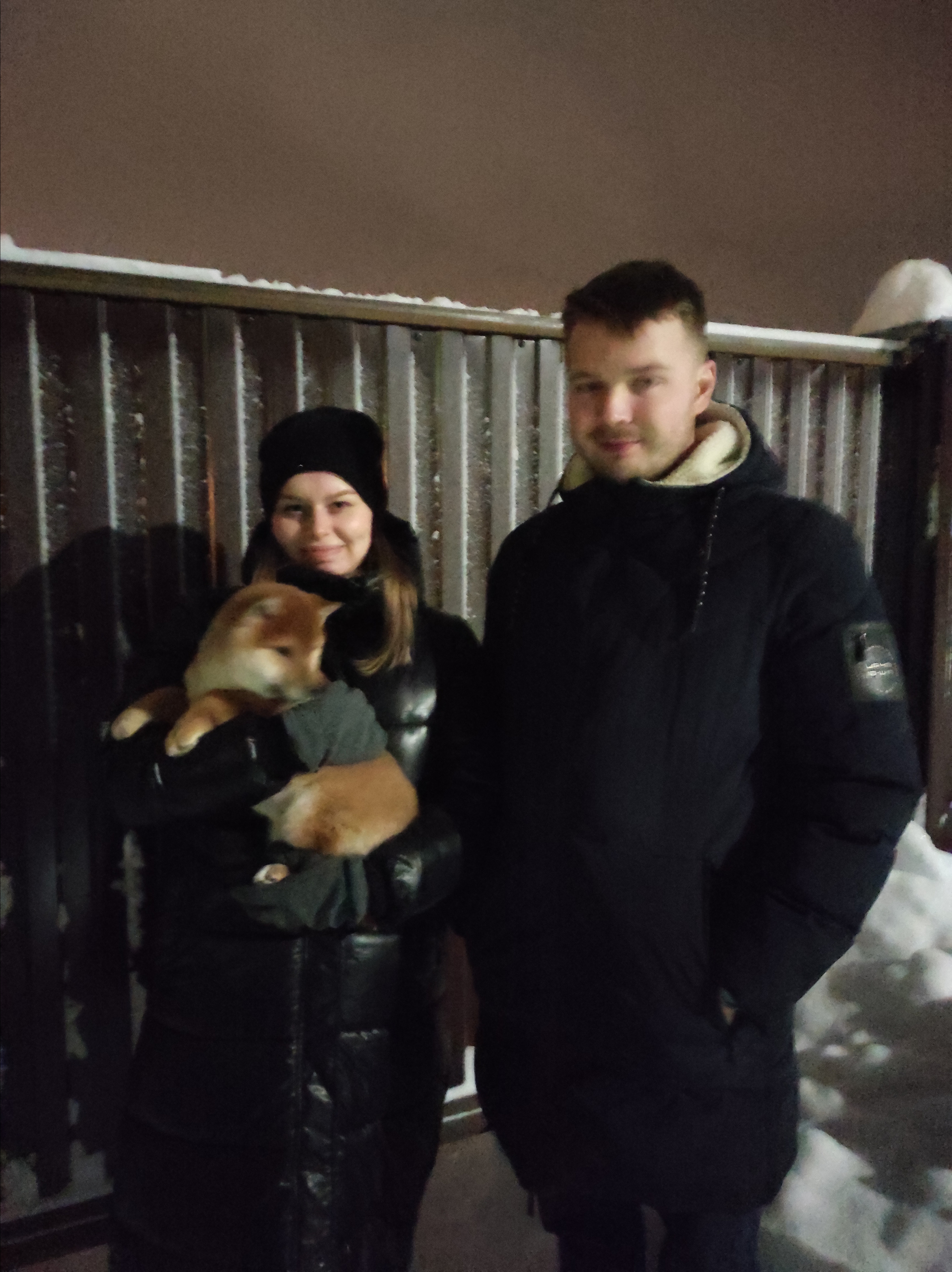 Rubylight Luis. AMERICAN AKITA RUBYLIGHT KENNEL I SHIBA-INU