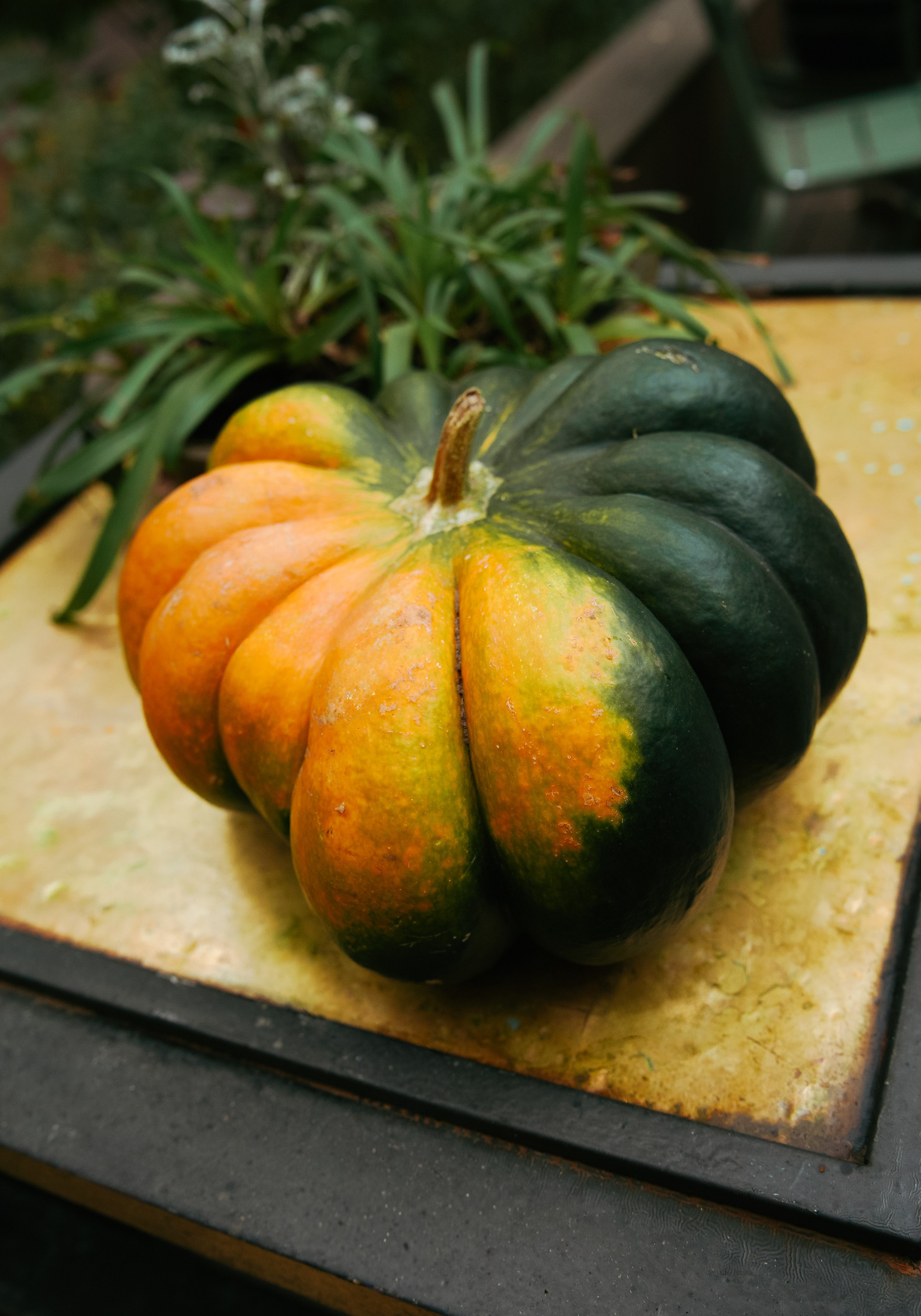 Осень 2025. Фотограф из Москвы — DASHA NOVA | Авторская фотография в разных жанрах