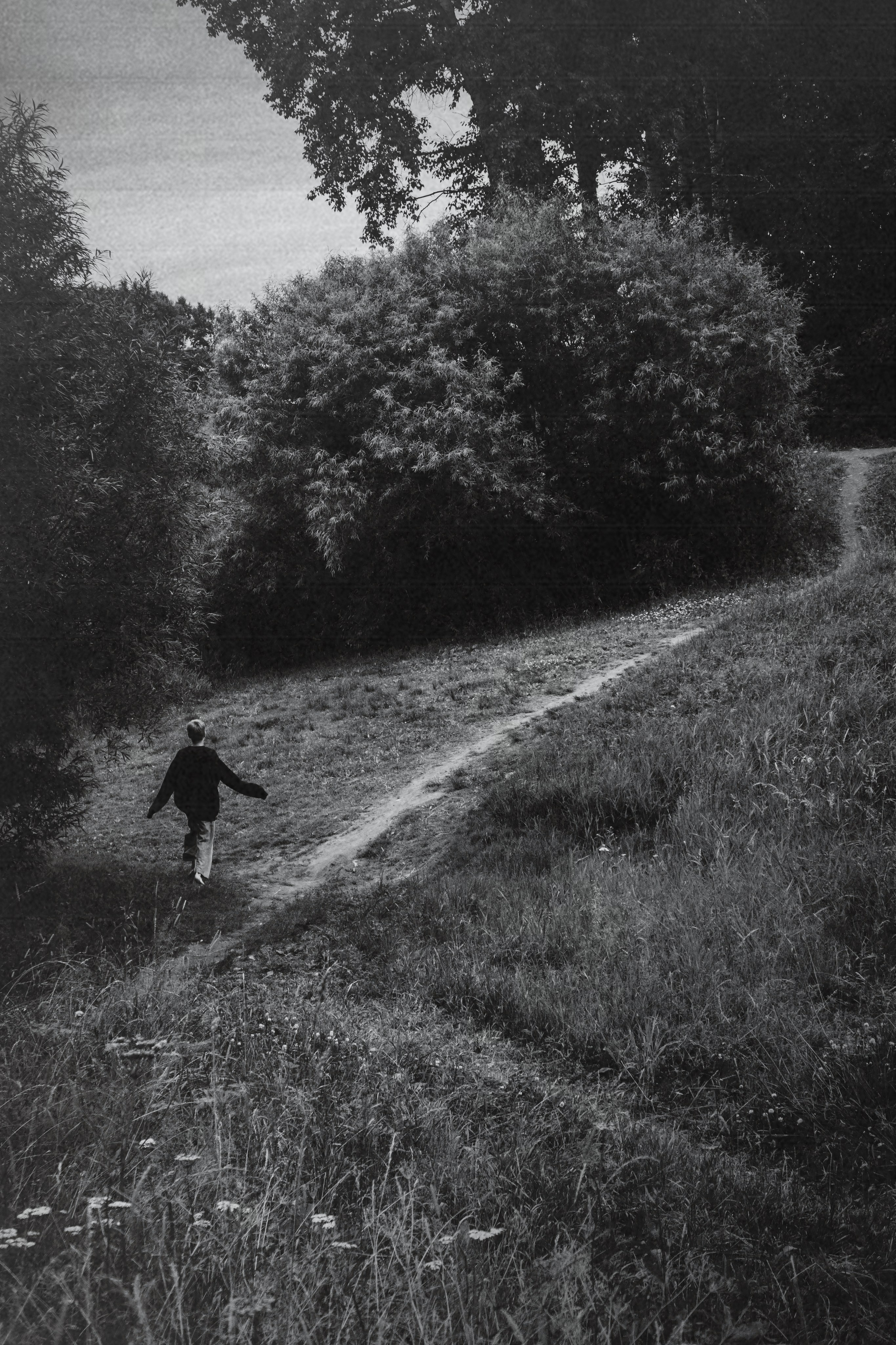 Photo by anya stepanenko