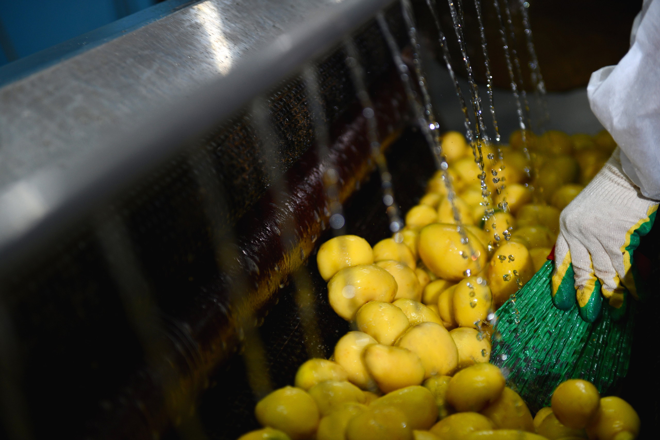 Съёмка на производстве. Свадебный и портретный фотограф в Москве Галина Борисова