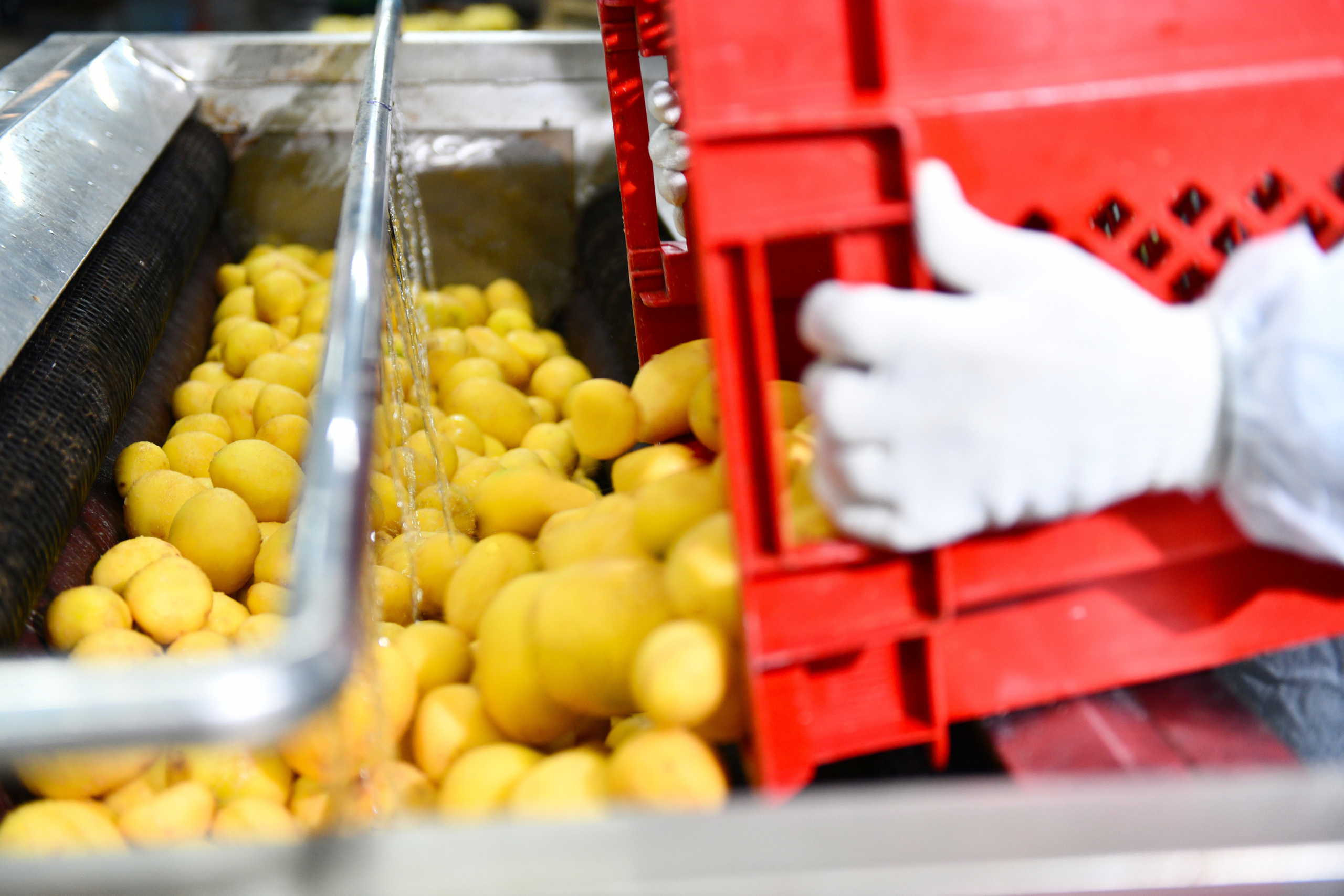 Съёмка на производстве. Свадебный и портретный фотограф в Москве Галина Борисова