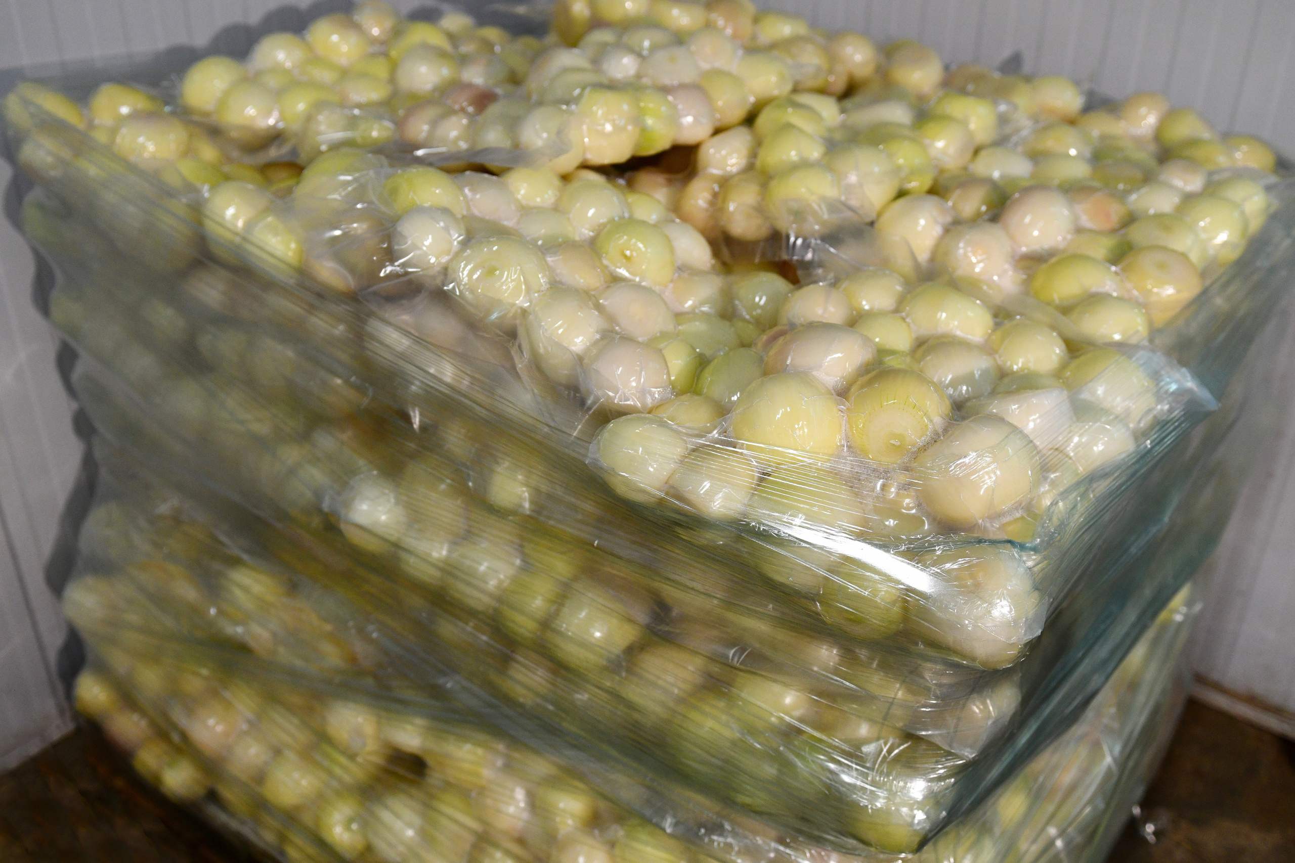 Съёмка на производстве. Свадебный и портретный фотограф в Москве Галина Борисова