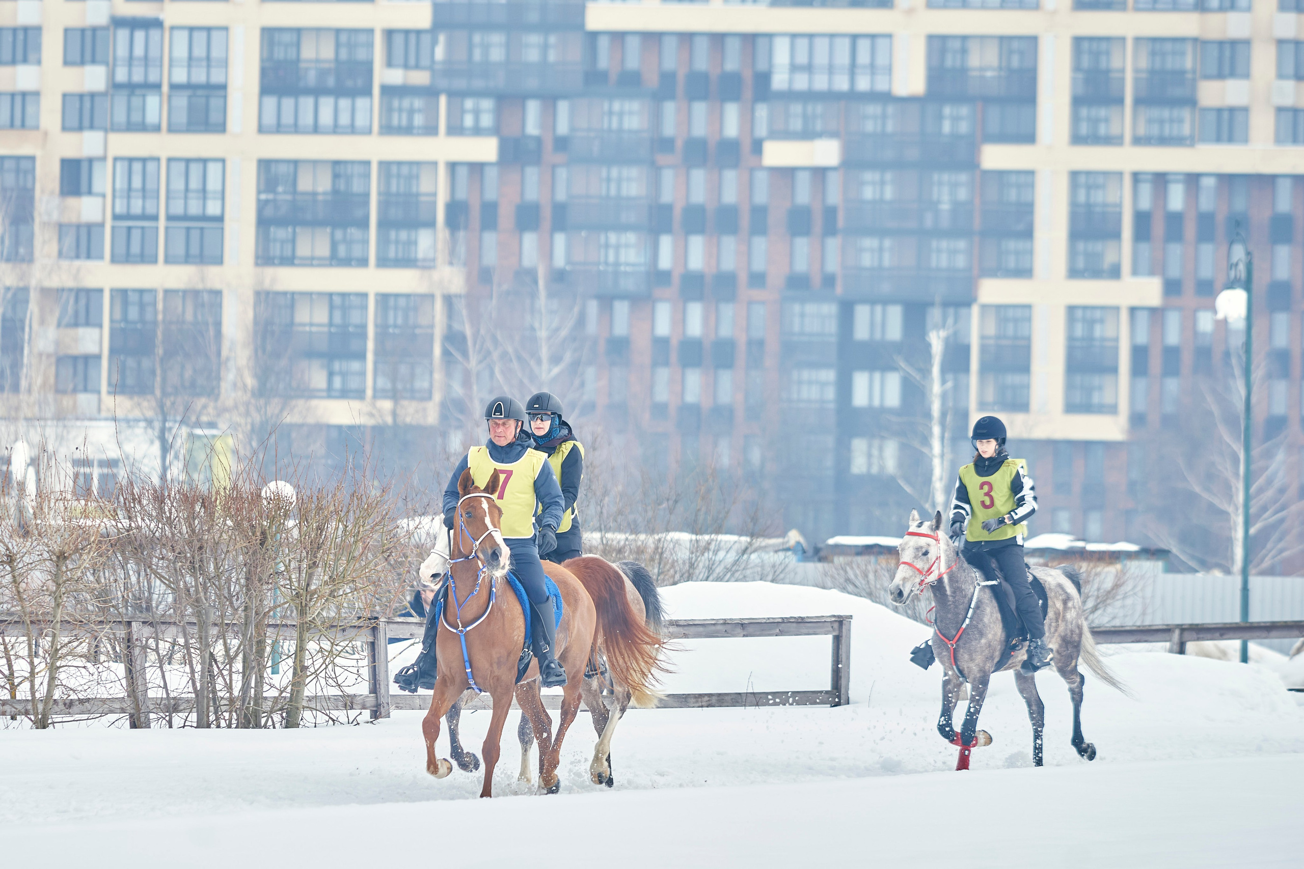 HORSE RACING. Фотограф Наталья Леонова