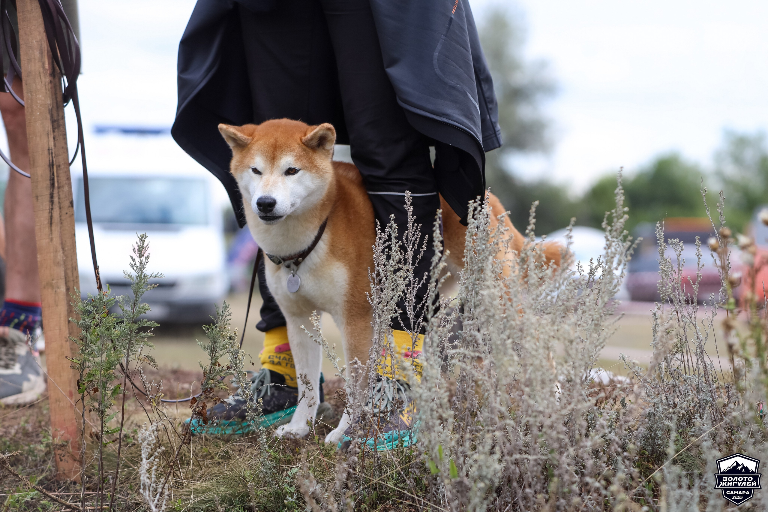 Кубок России по гонкам с водными препятствиями на квадроциклах «Золото Жигулей 2025». Спортивный фотограф в Самаре