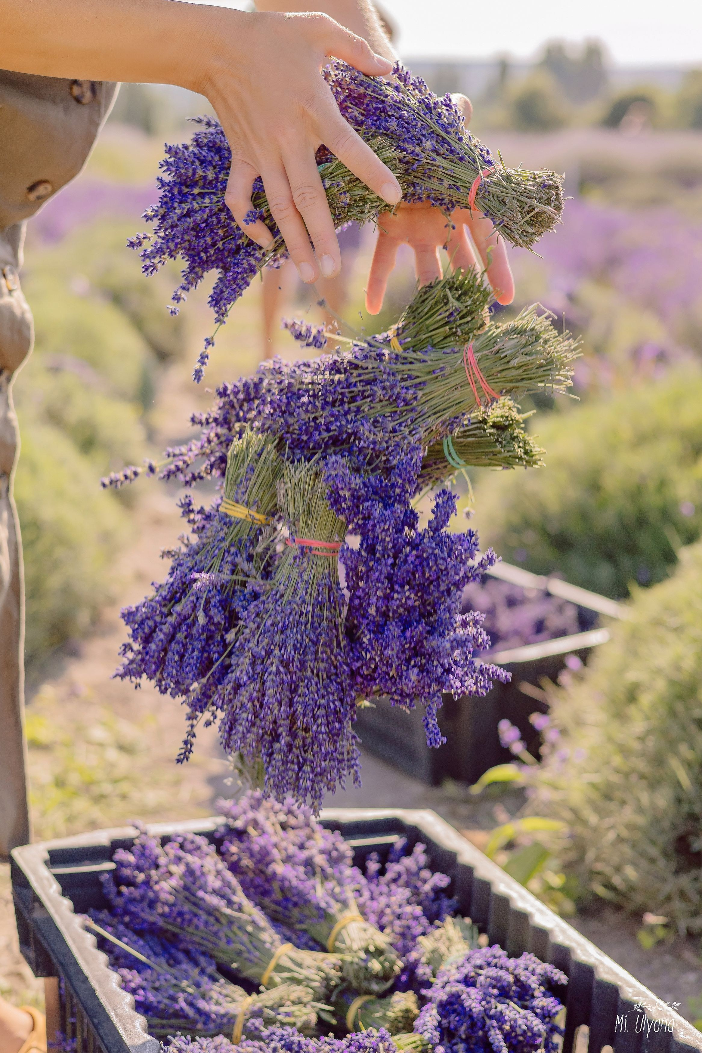 Локации в городе Анапа для семейной (лове стори и индивидуальной)съемки. Фотограф и Видеограф Анапа, Новороссийск, Краснодар. Алина и Женя