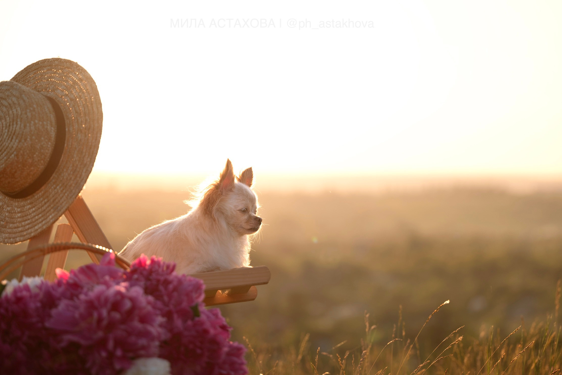 Анастасия и Локи. Мила Астахова