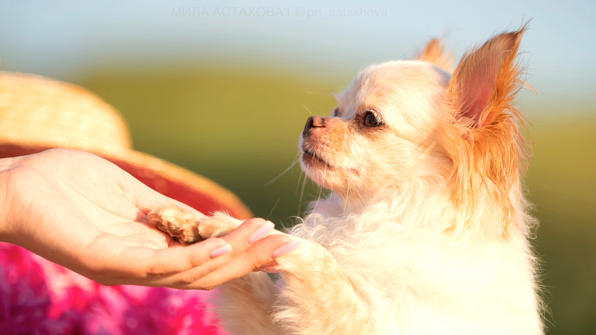 Анастасия и Локи. Мила Астахова