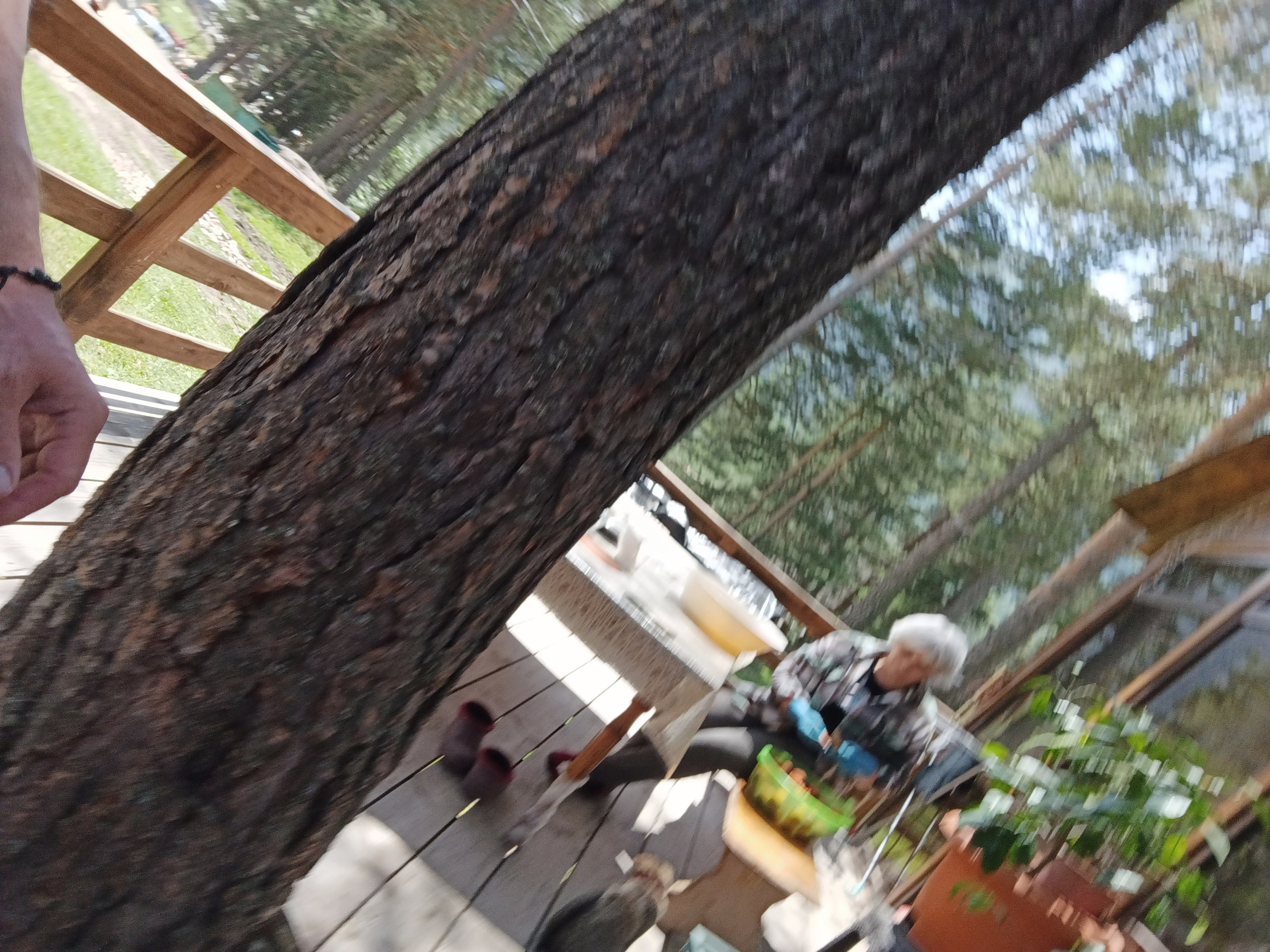 Эльбрус 2023 Маша Саша Дима. Заставка