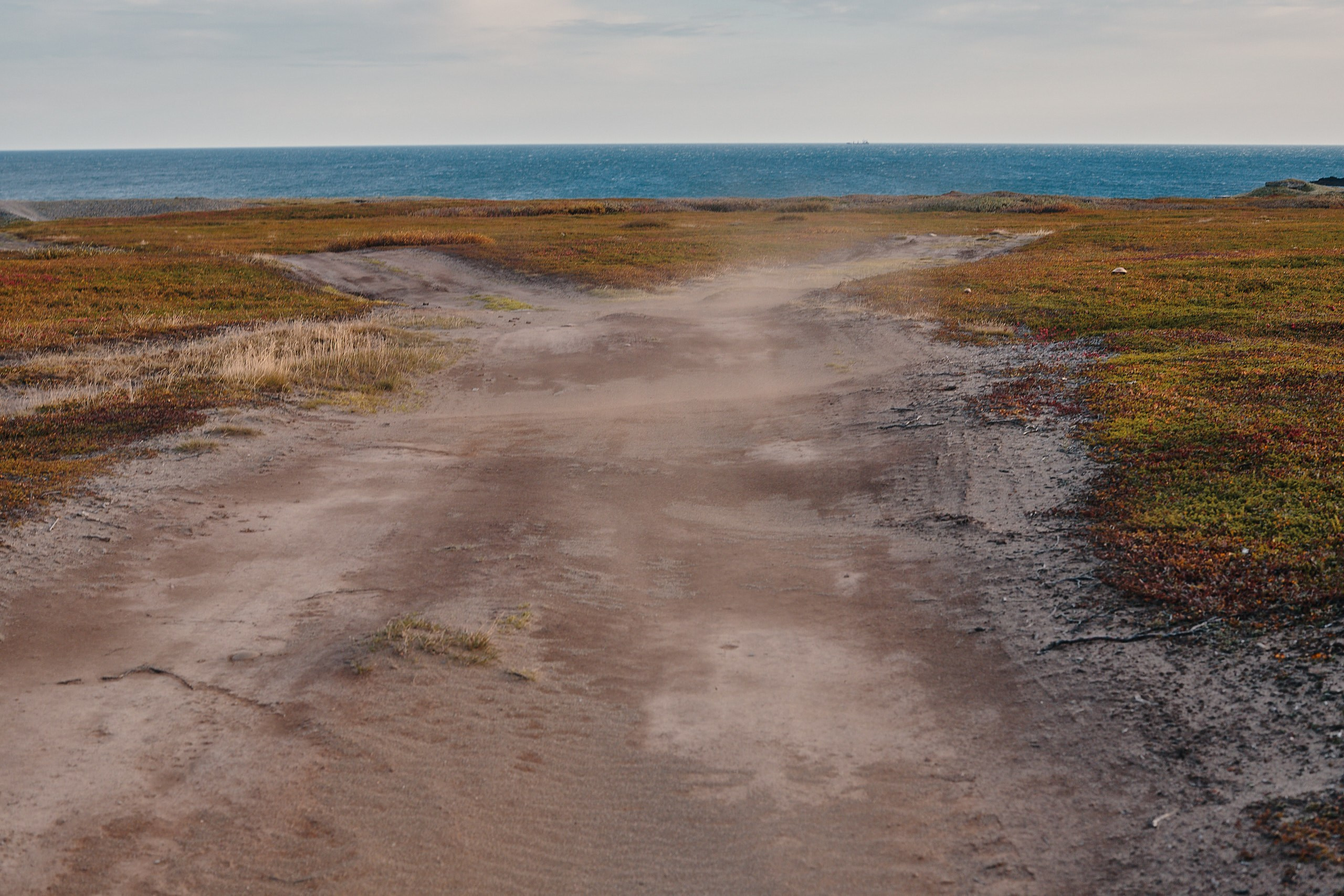Рыбачий 2023. Место силы. Фотограф Валерий Сабрам