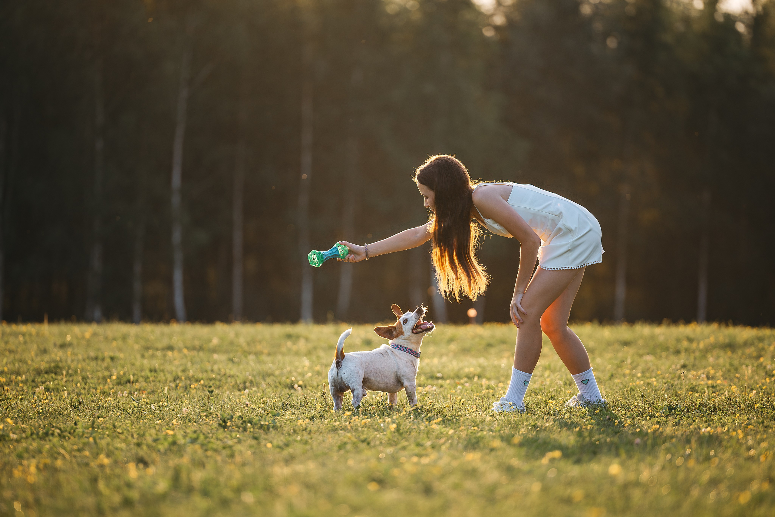 Юлиана и Риф (в обработке). Фотограф Анималист в Москве Анастасия Жучкова