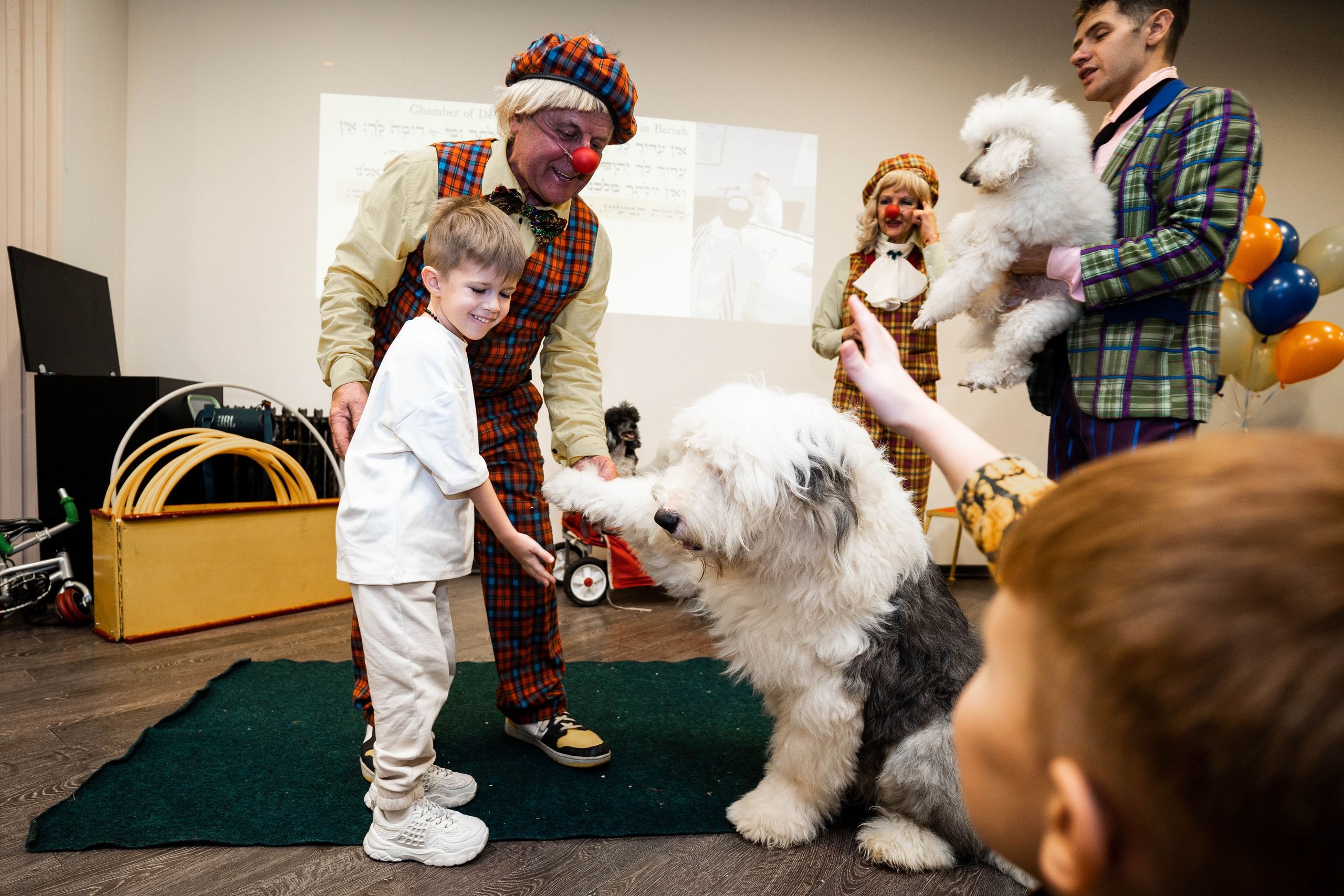 Даниэль h-day. Фотограф Абакумова Анастасия