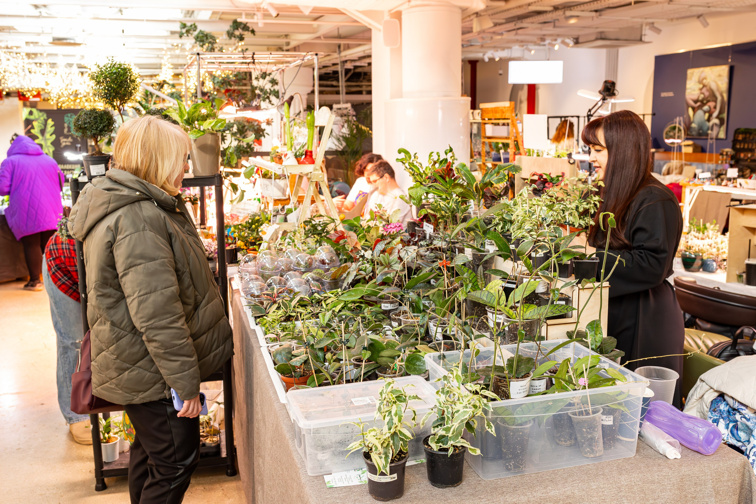 Growbox 1–2 марта. Александра Куликова фотограф, Москва